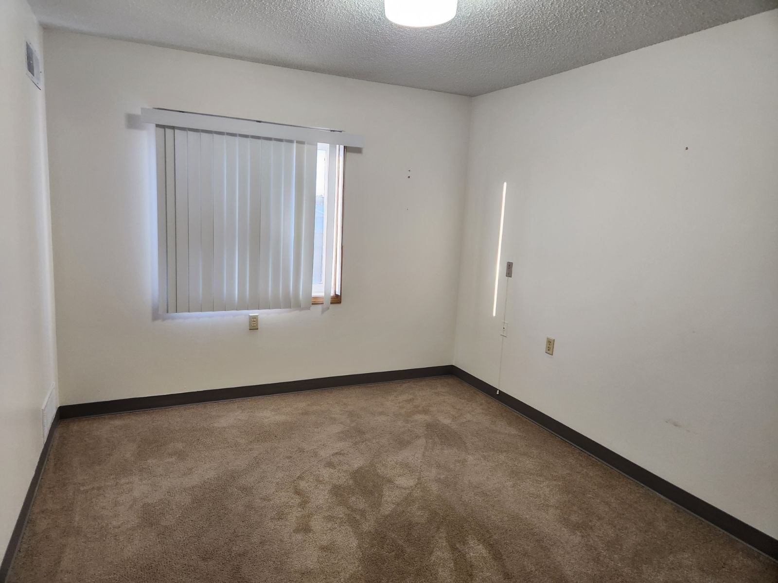 1011 6th Ave Property Photo 12
