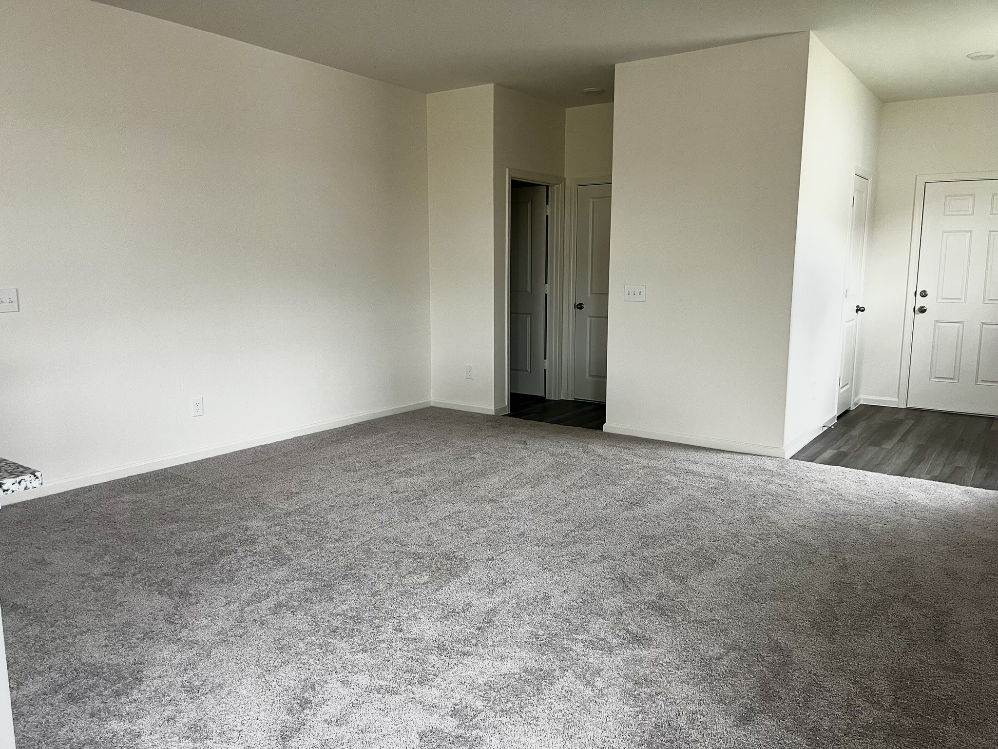 31266 Williams Landing St Property Photo 3