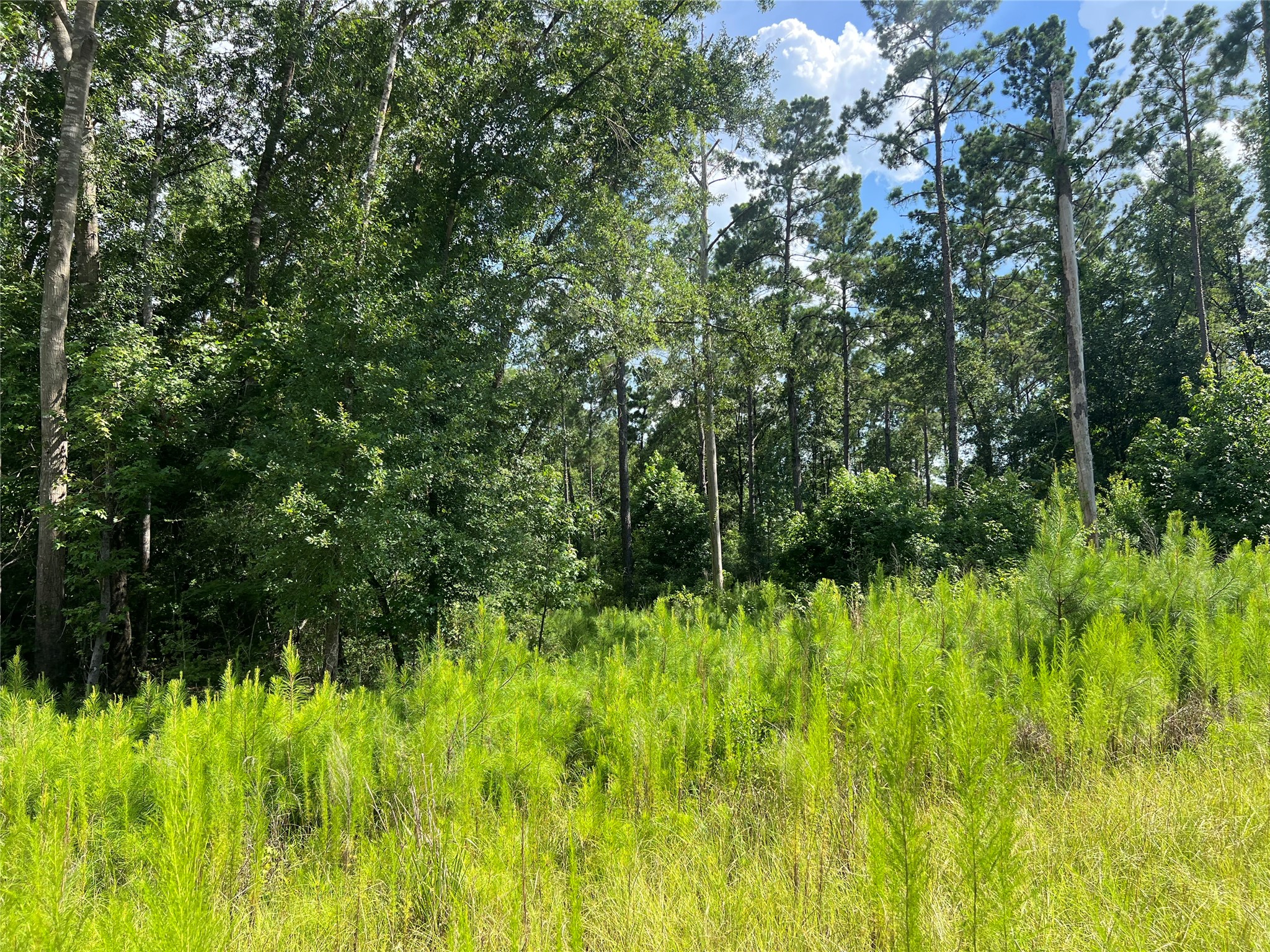 Lot 25 Rolling Pines Drive Property Photo