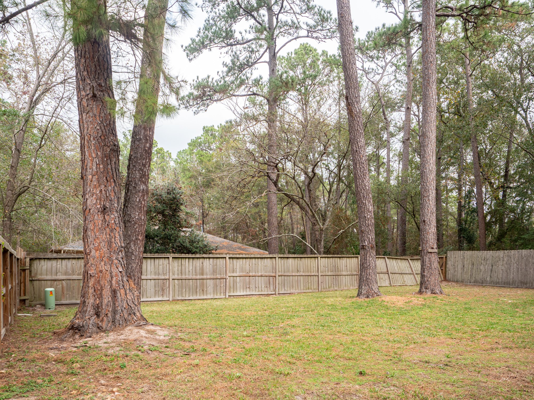 3302 Willie Way Property Photo 2