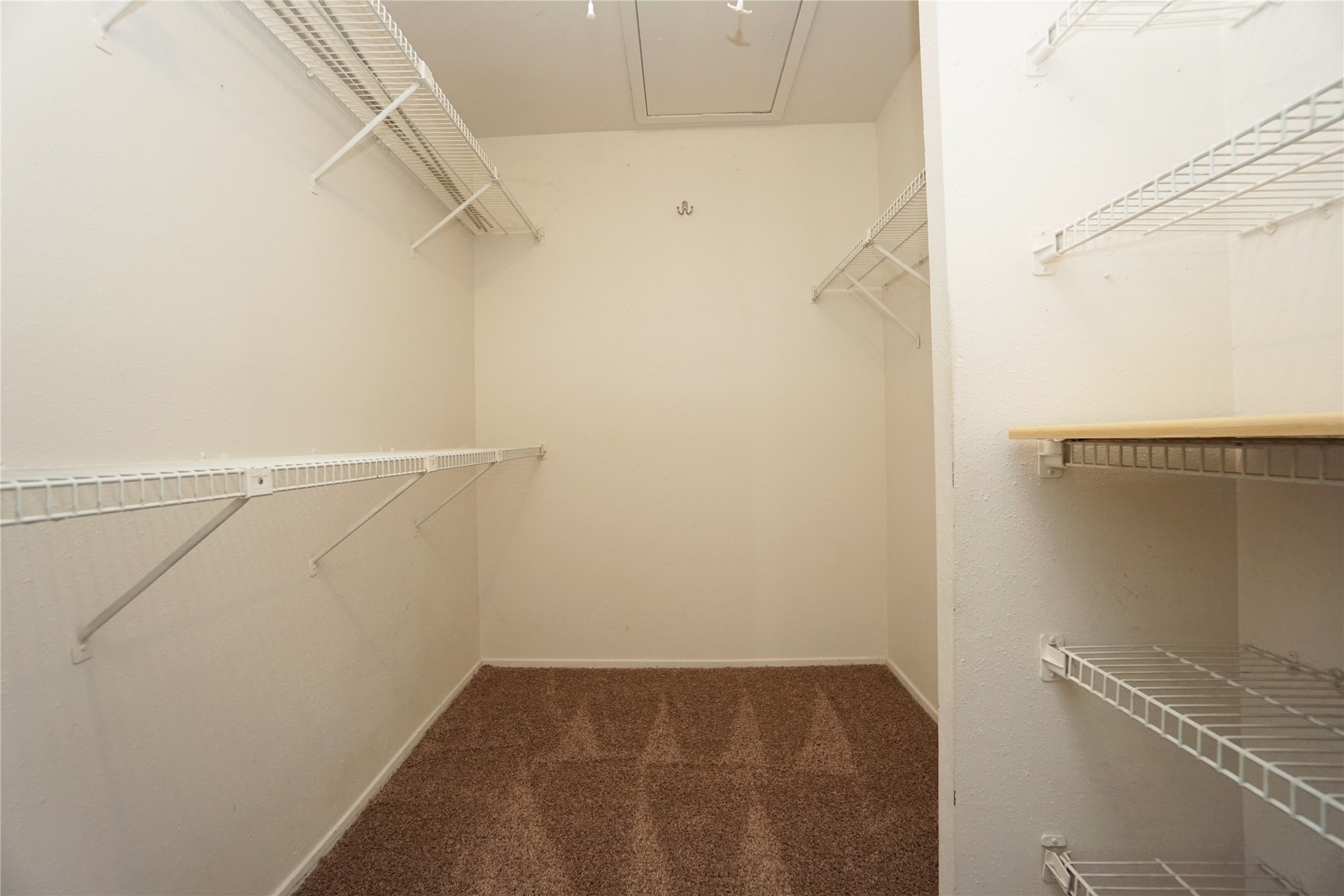 6602 Harbor Town Drive 808 Property Photo 12
