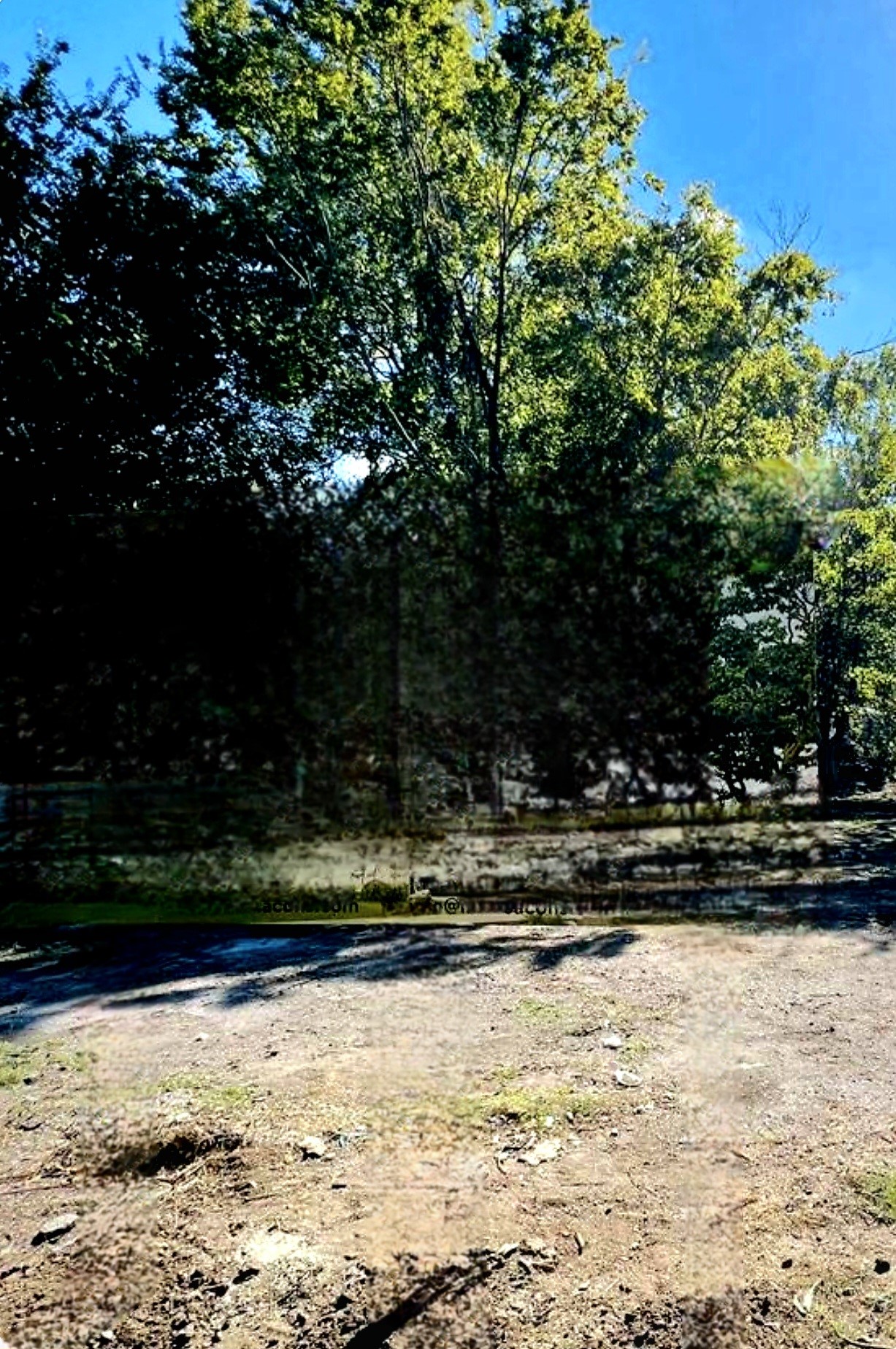 819 Rosie Street Property Photo 5