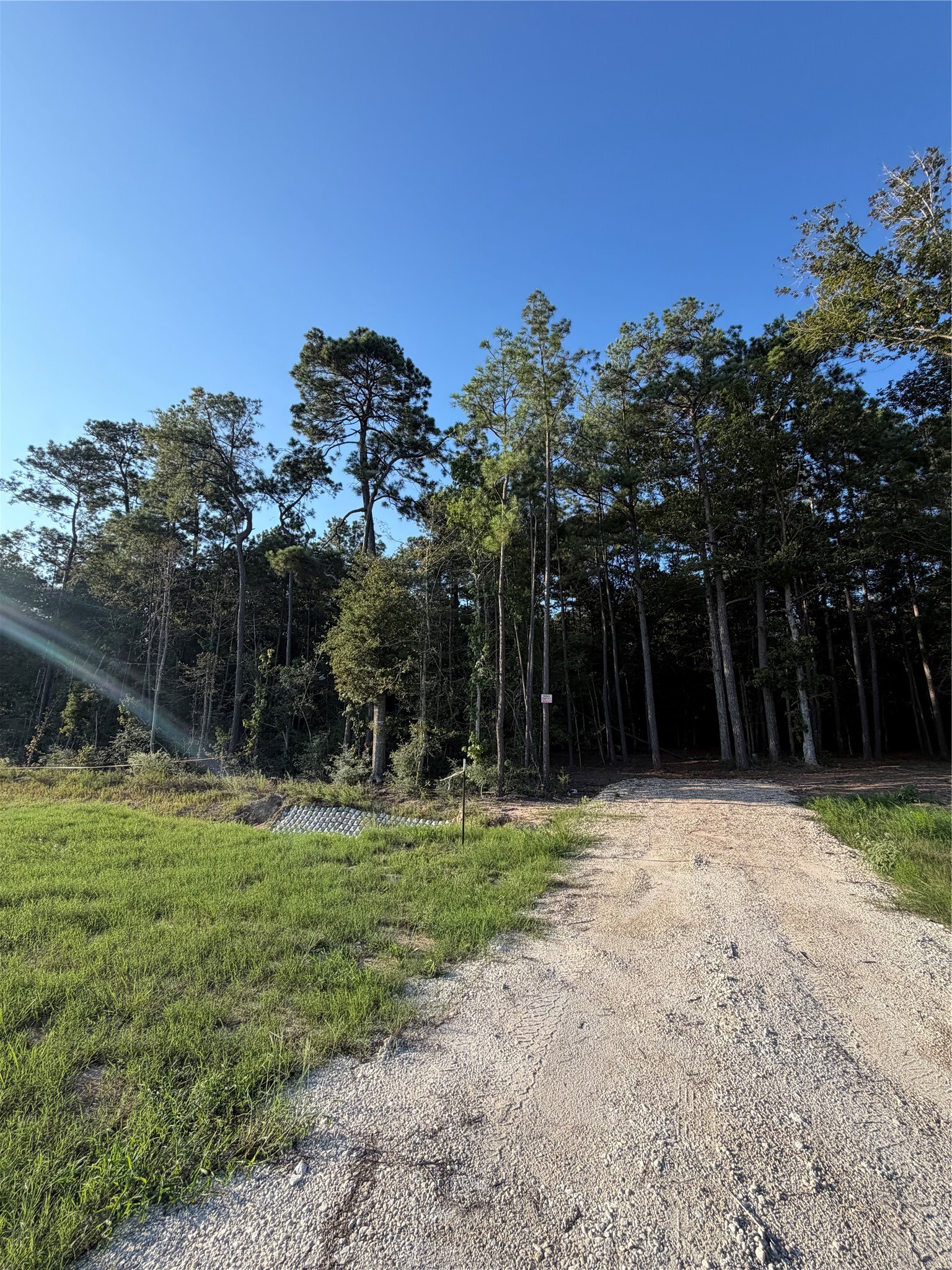 18361 Bunsen Drive Property Photo 11