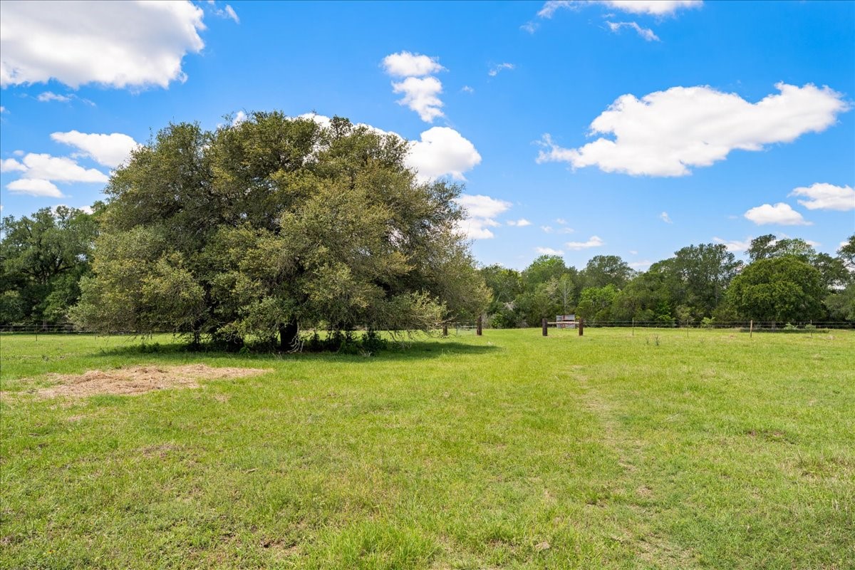 2516 Klimek Road Property Photo 8
