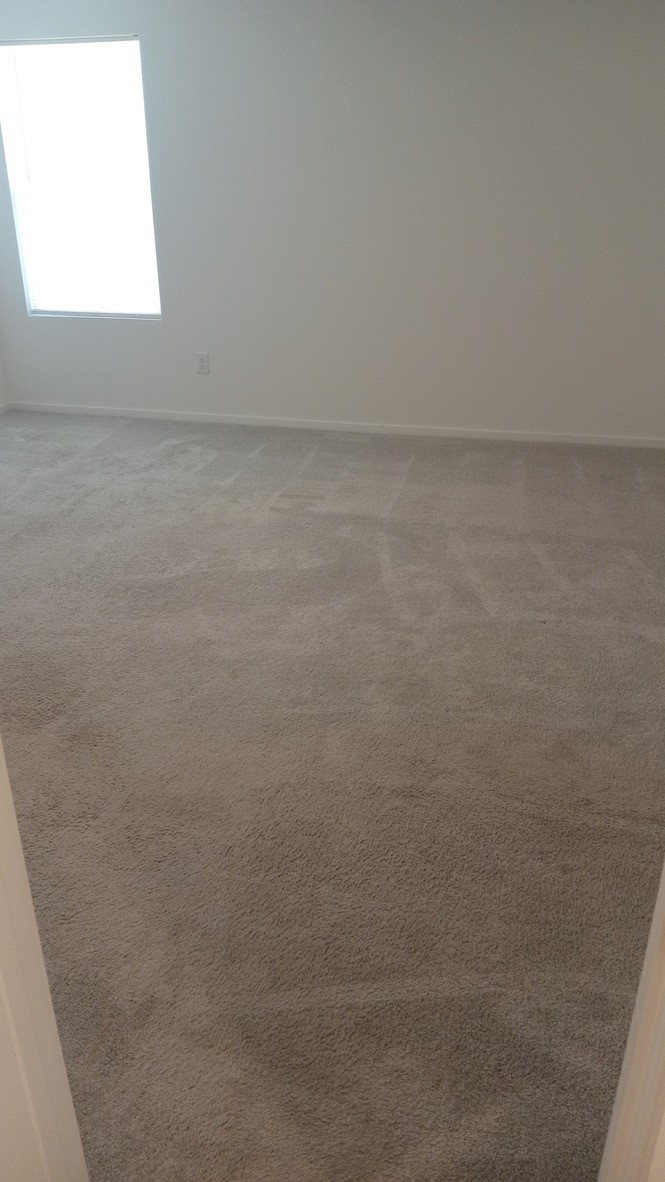 26826 Zebra Grass Drive Property Photo 7
