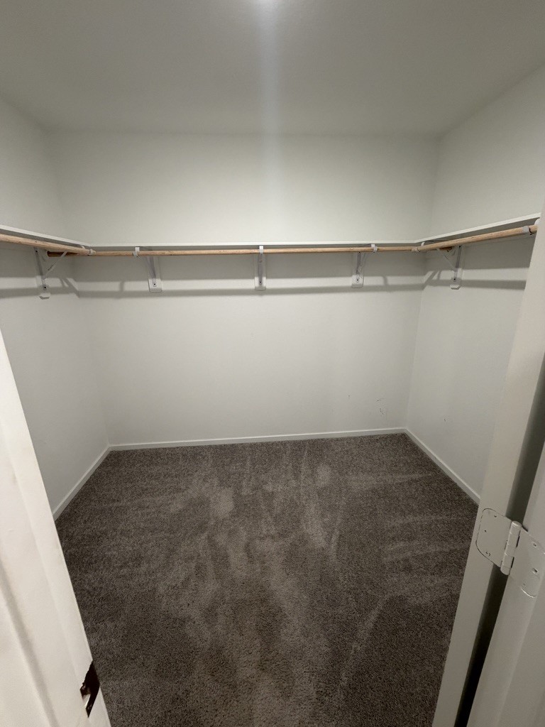 26826 Zebra Grass Drive Property Photo 8