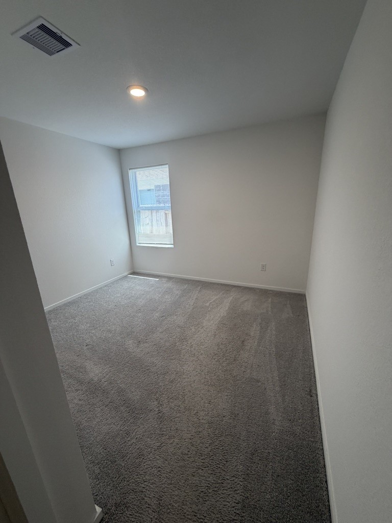 26826 Zebra Grass Drive Property Photo 10