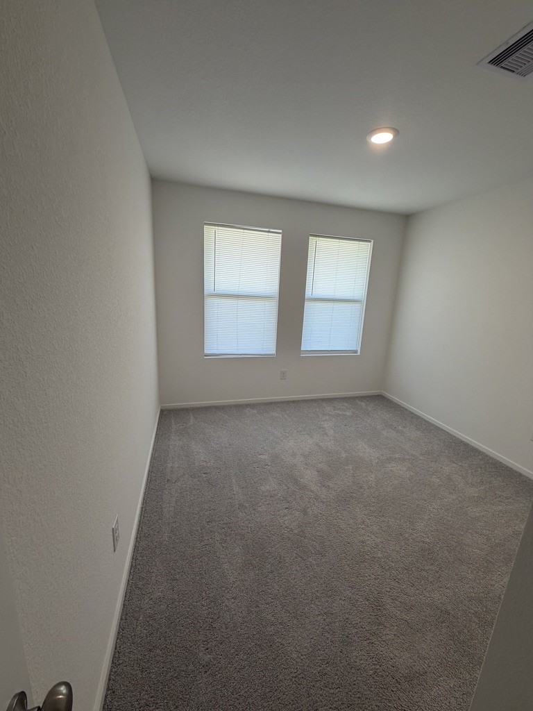 26826 Zebra Grass Drive Property Photo 11