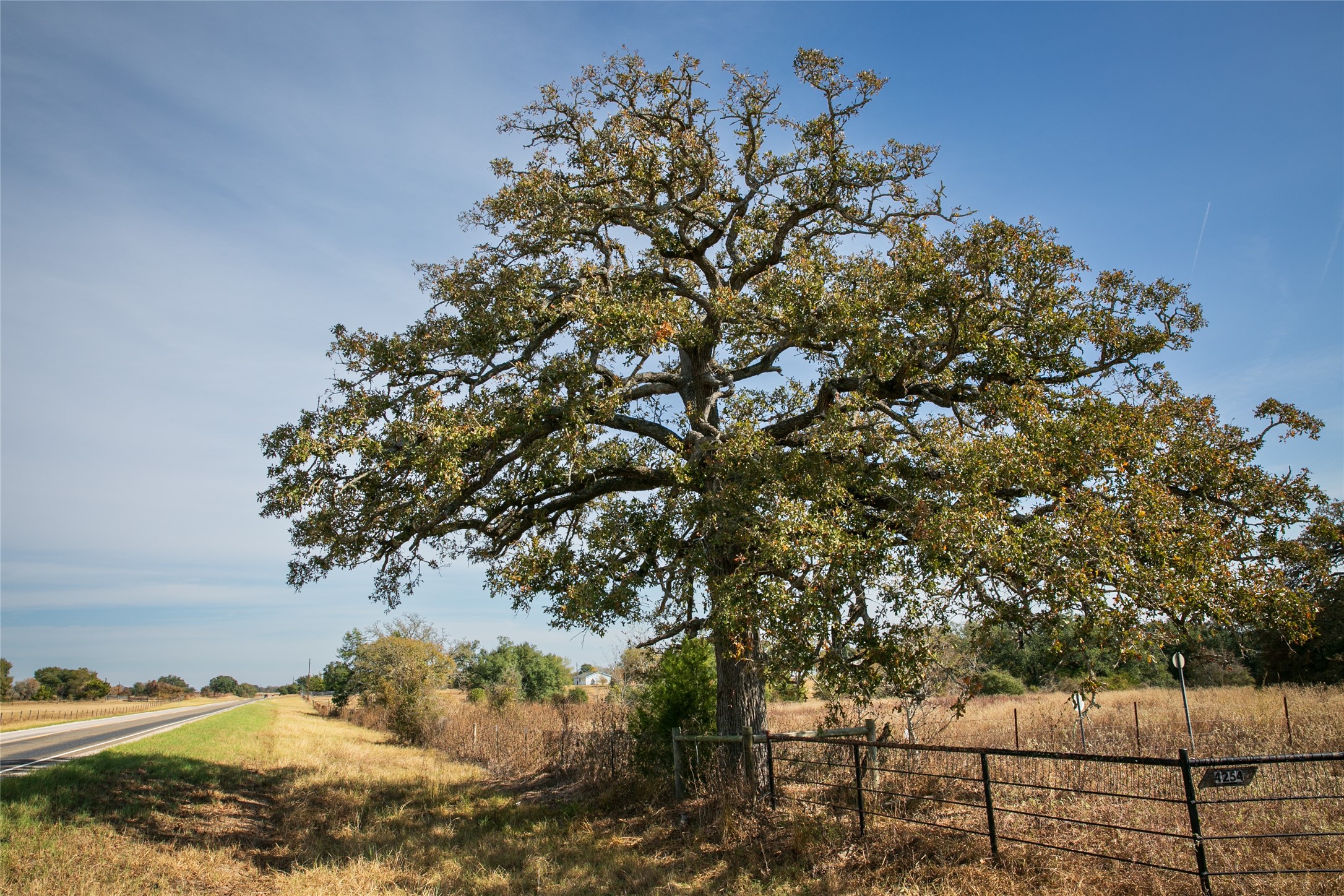4254 Fm 180 Property Photo