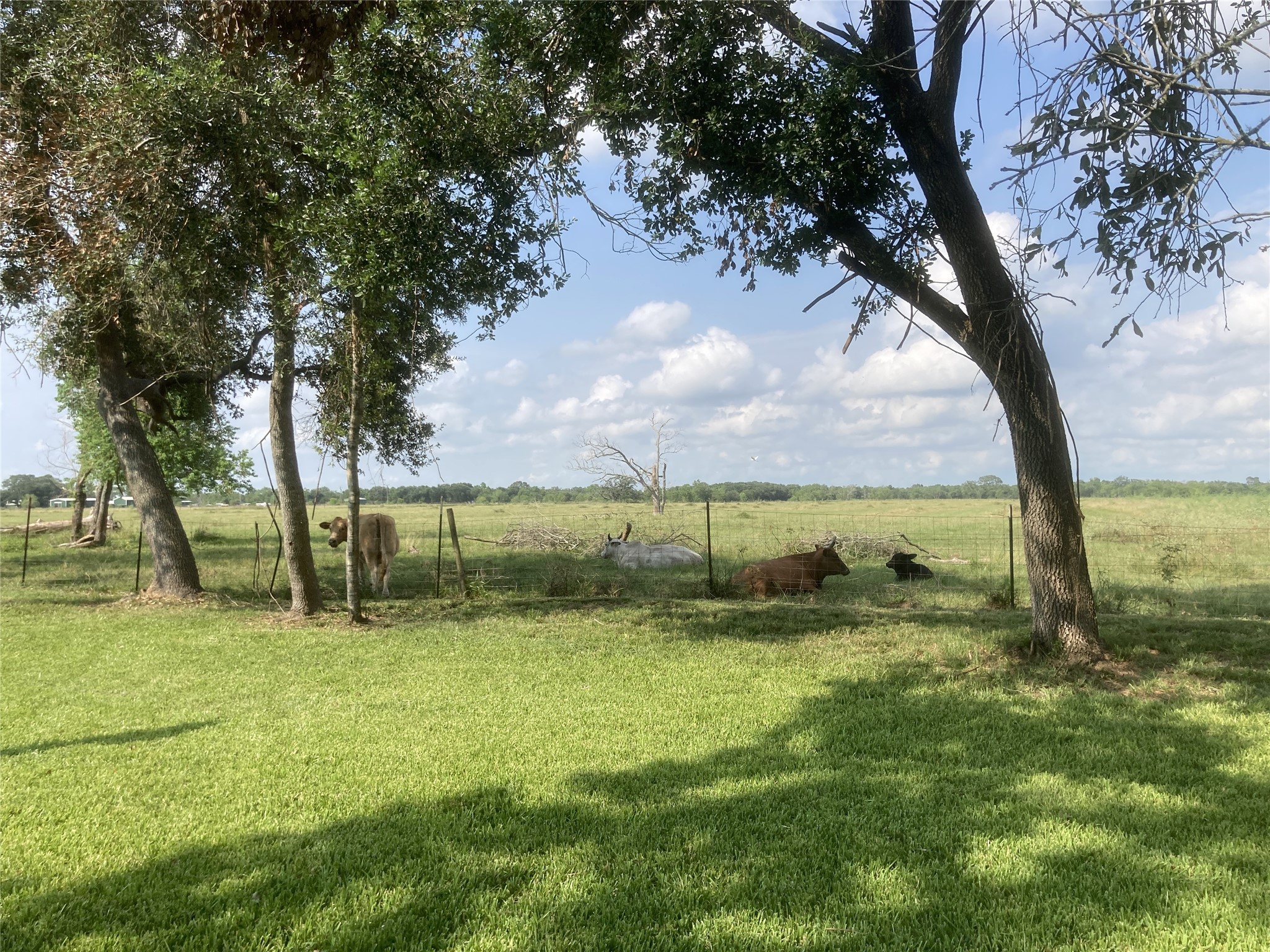 4003 Country Trails Street Property Photo 17
