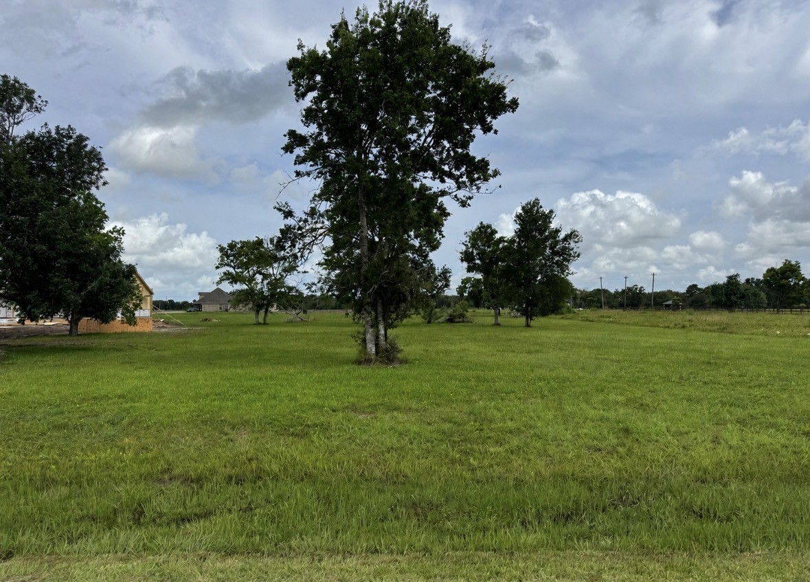33011 Amberjack Drive Property Photo 4