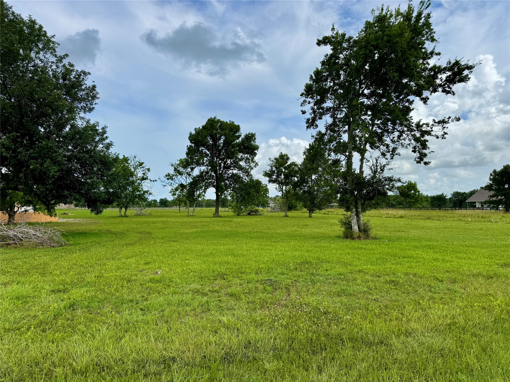 33011 Amberjack Drive Property Photo 5