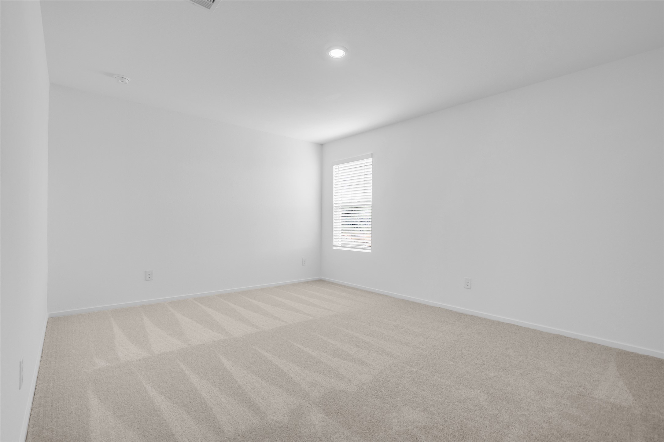 254 Farray Forest Property Photo 9