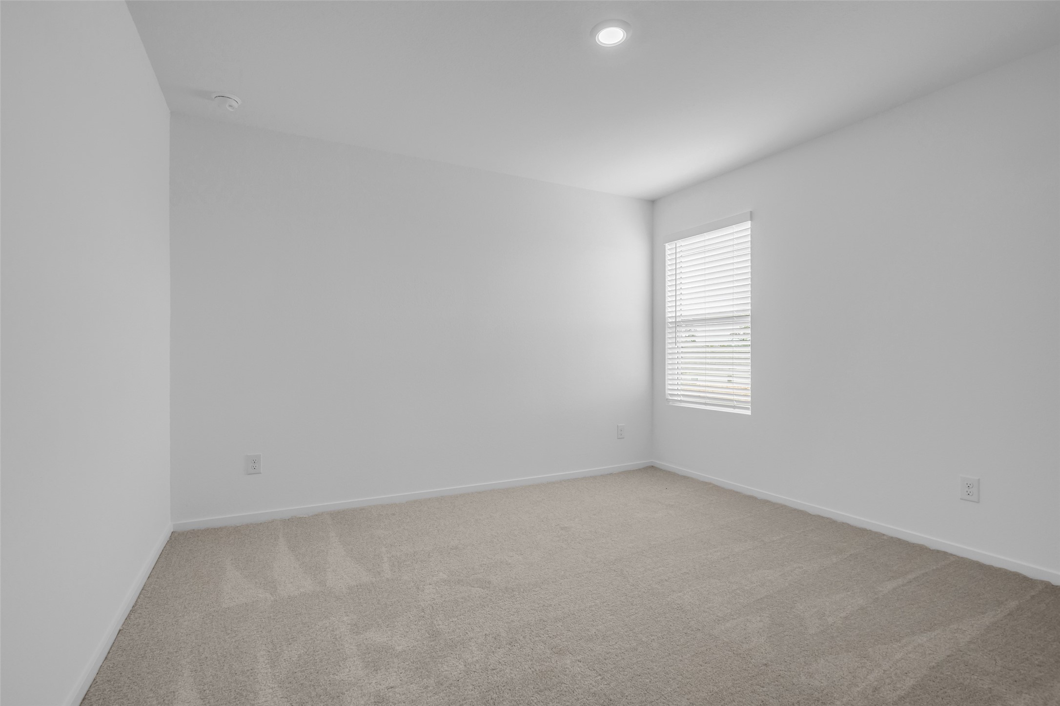 254 Farray Forest Property Photo 11