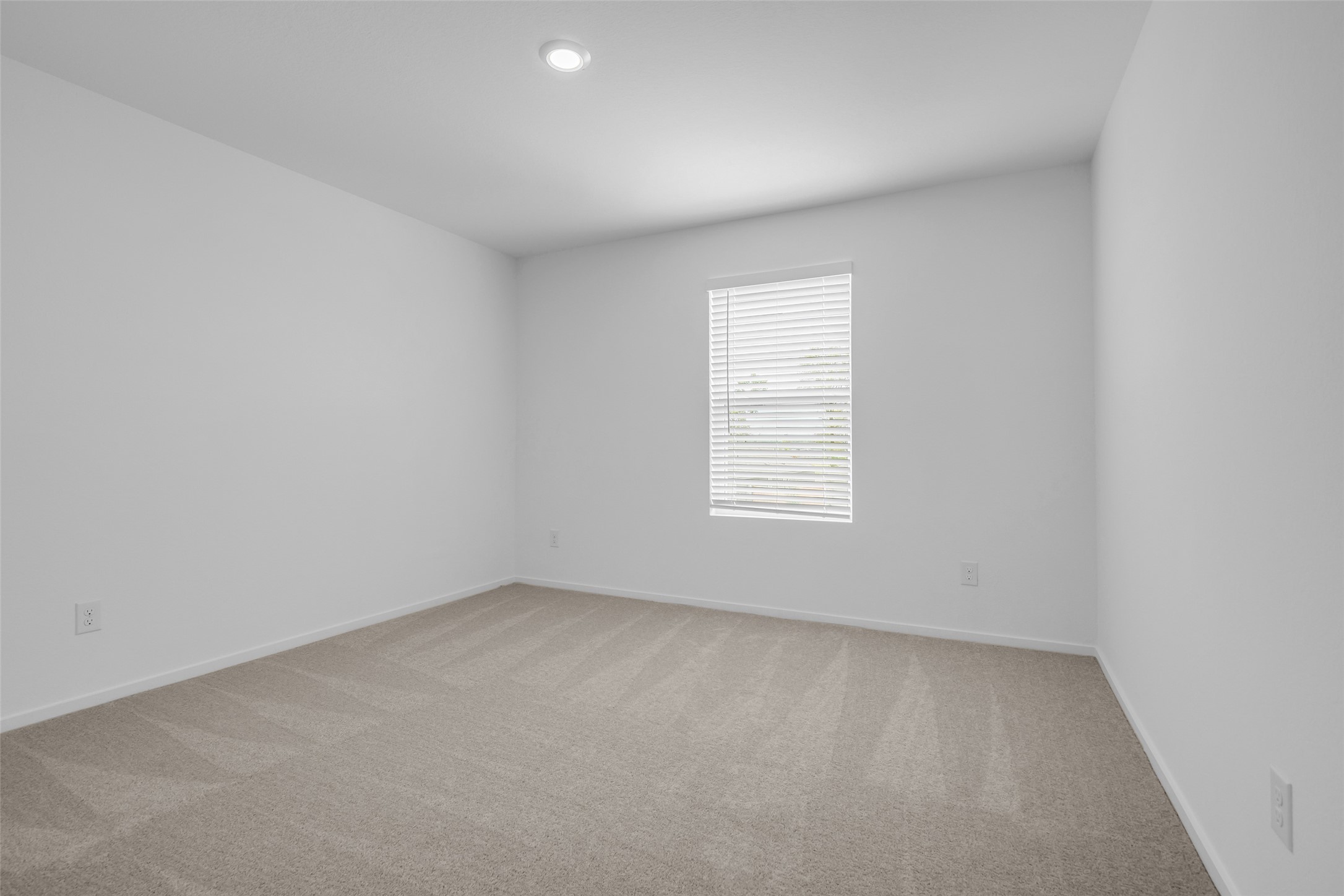 254 Farray Forest Property Photo 12