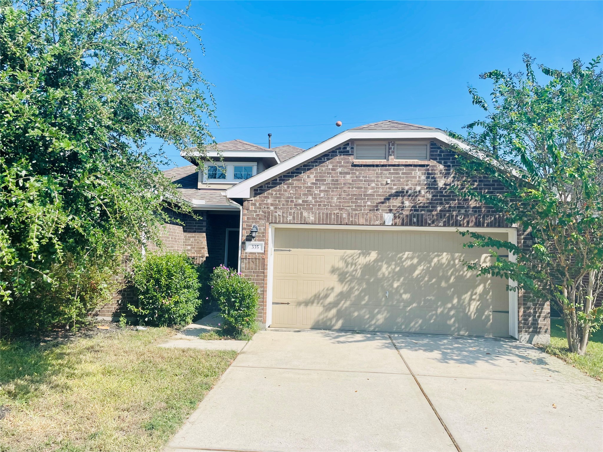 335 American Black Bear Drive Property Photo 1