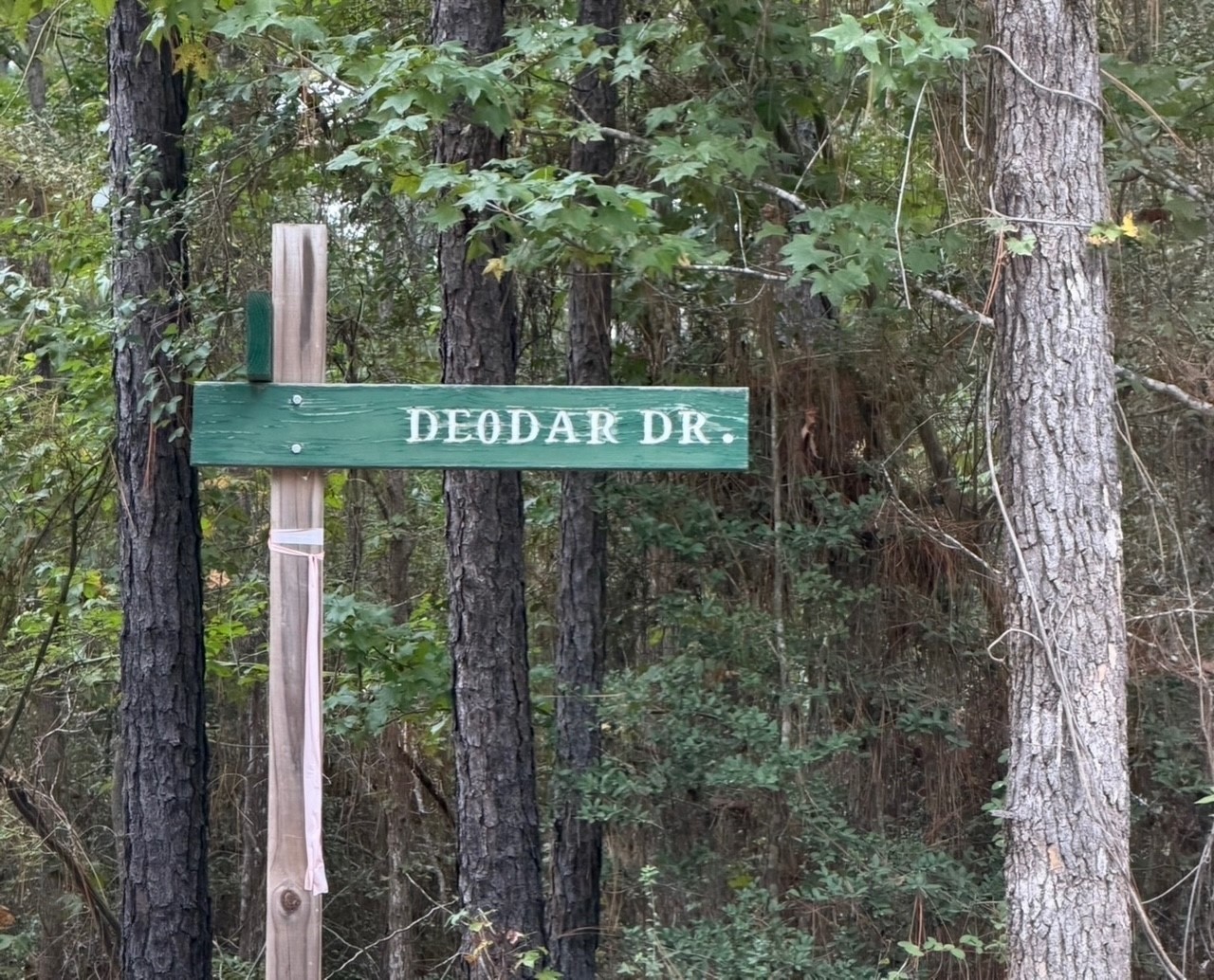 000 Deergrass Drive Property Photo 3