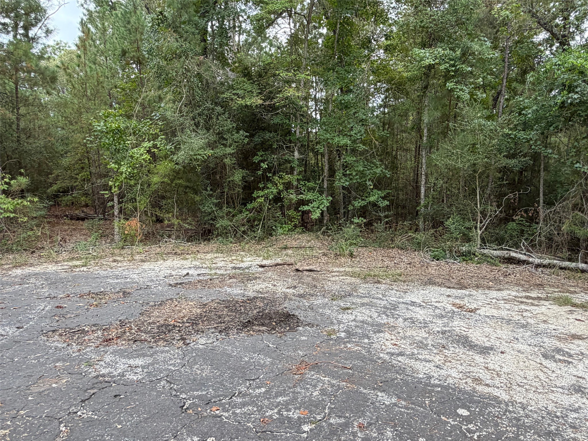 000 Deergrass Drive Property Photo 5