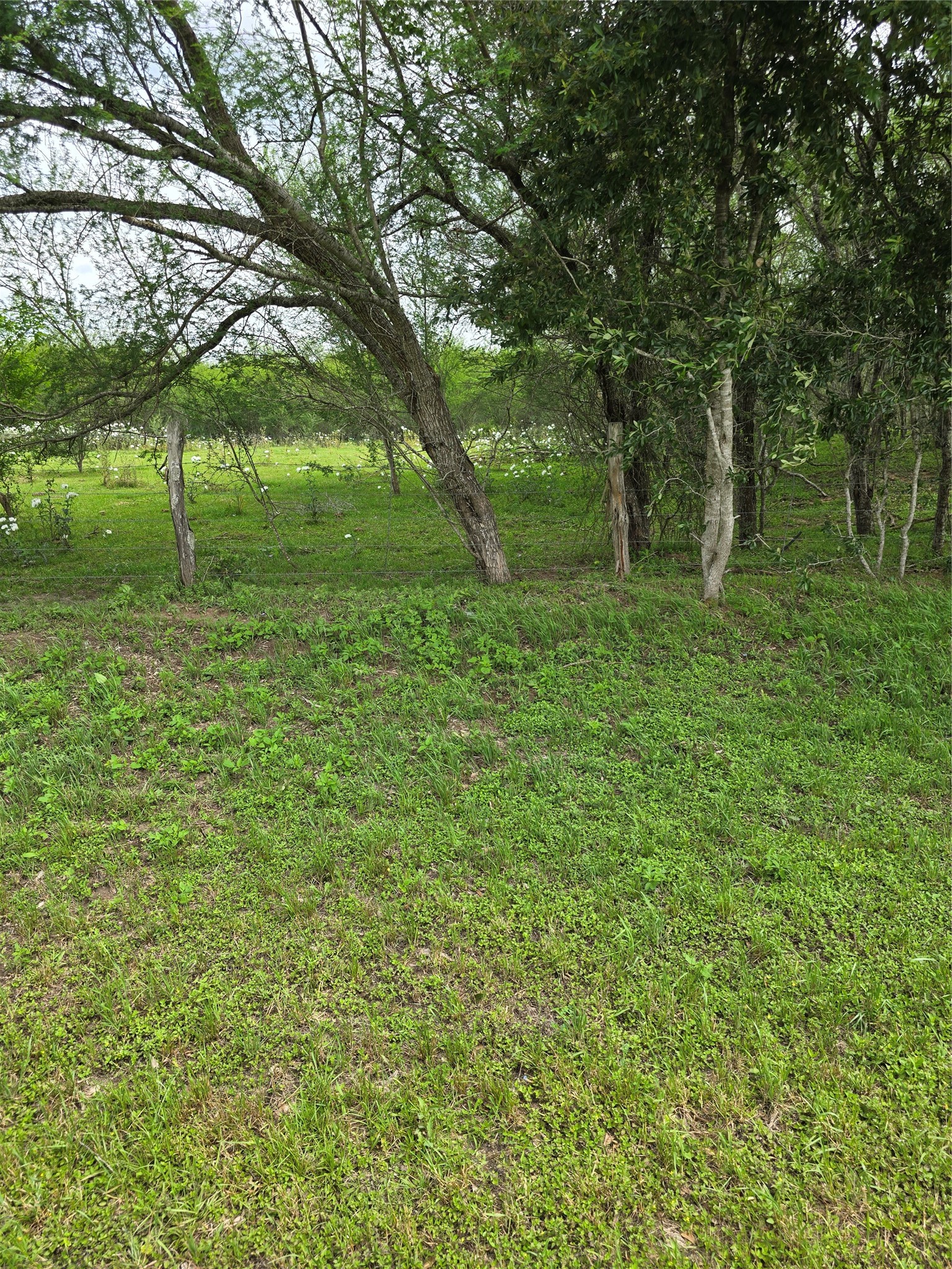 256 Park Rd 38 Property Photo 3