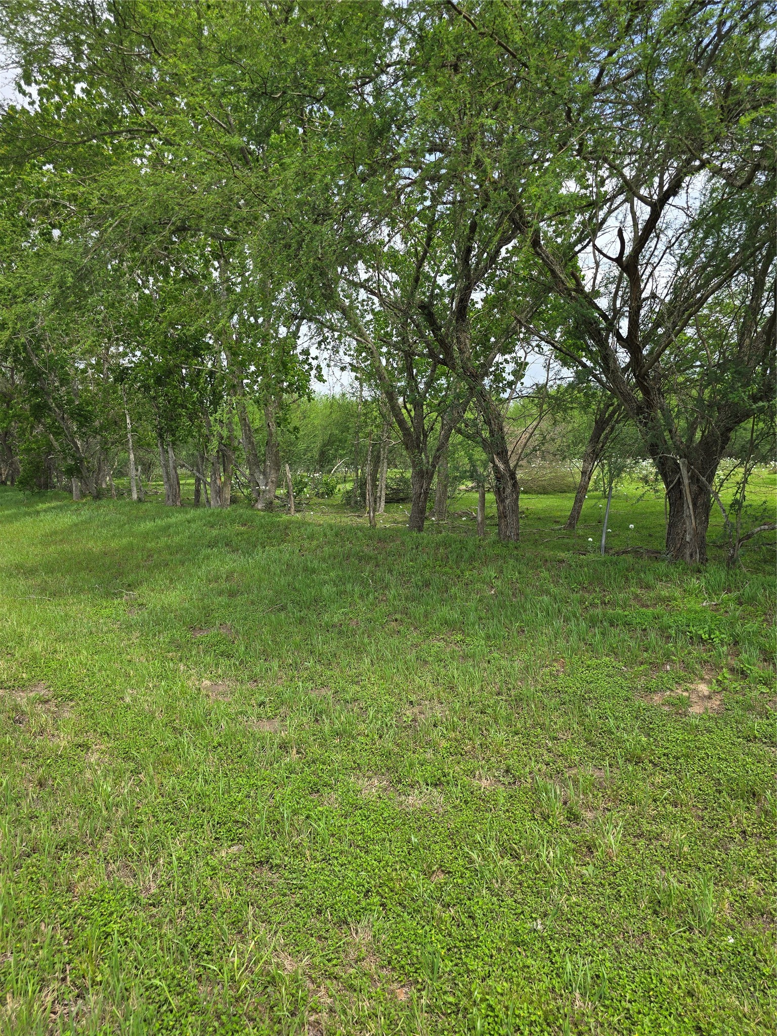 256 Park Rd 38 Property Photo 5