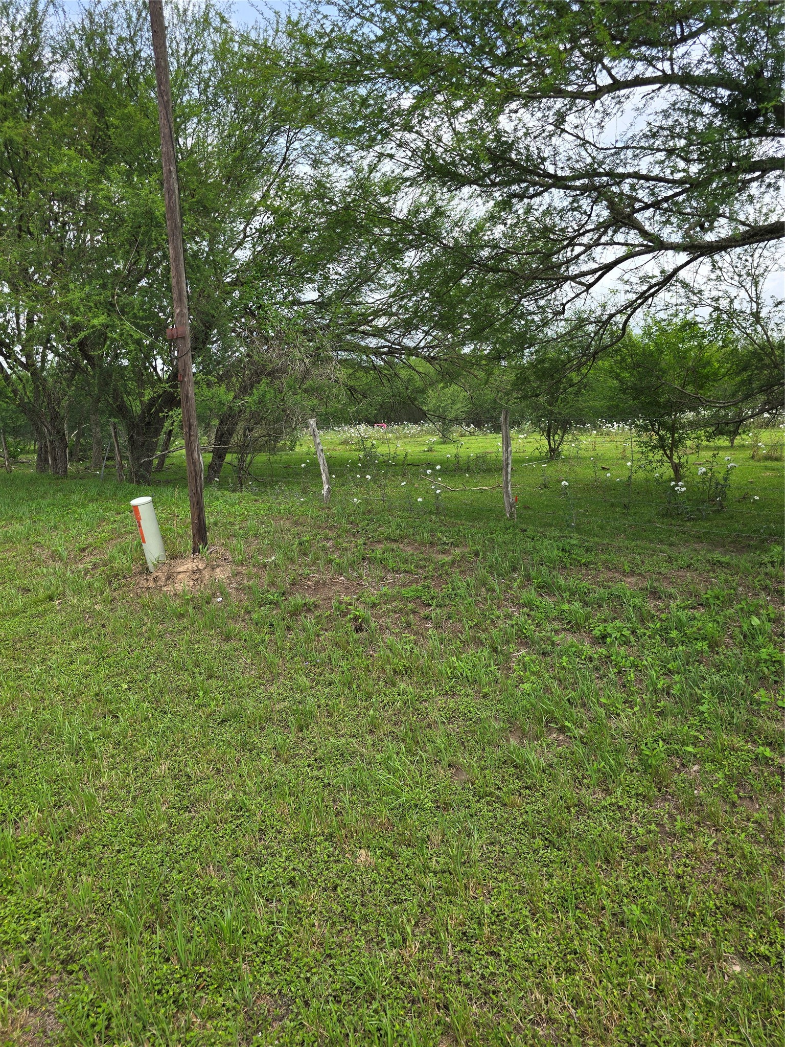 256 Park Rd 38 Property Photo 6