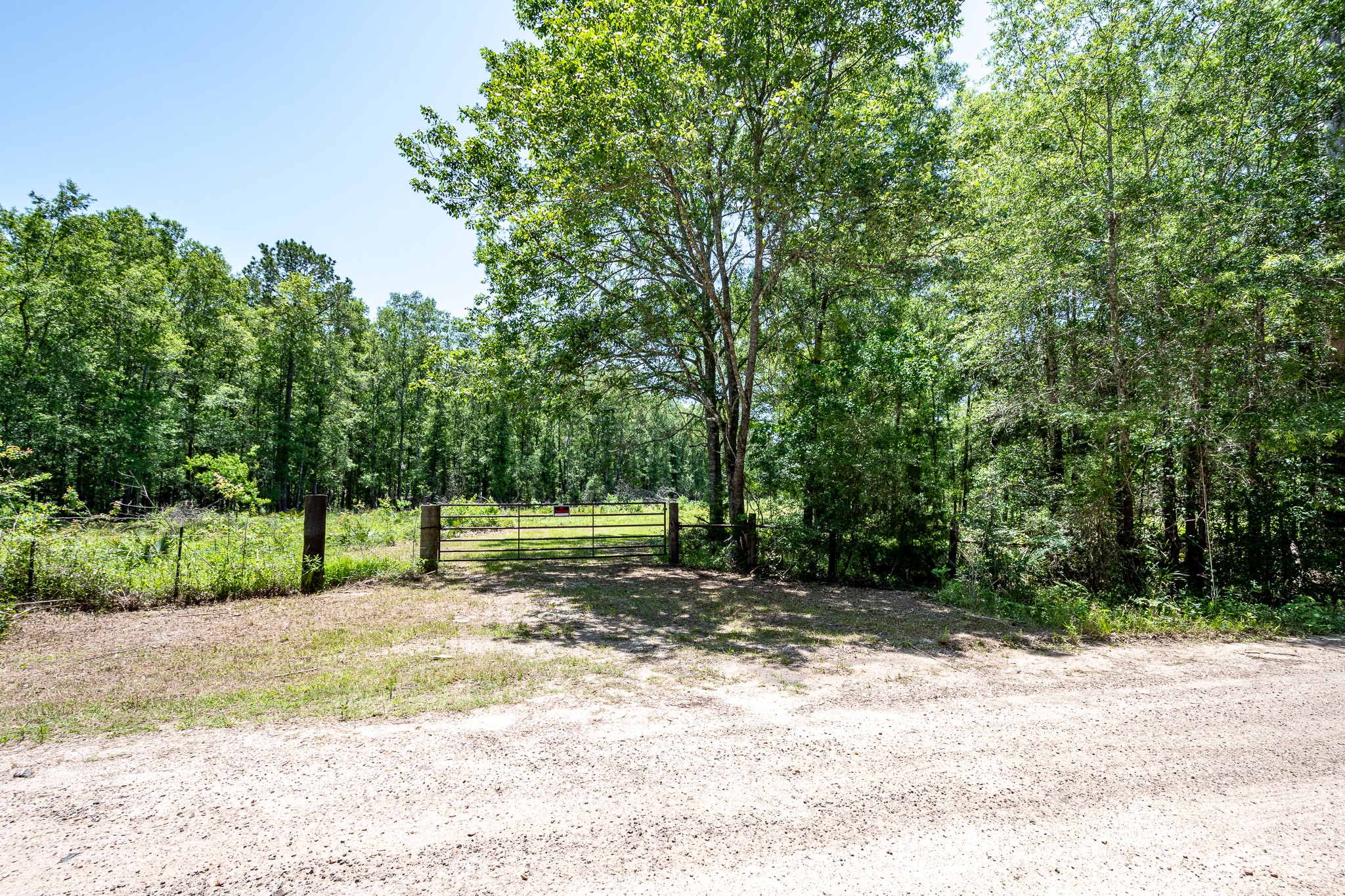 000 Cr 3774 Road Property Photo 3