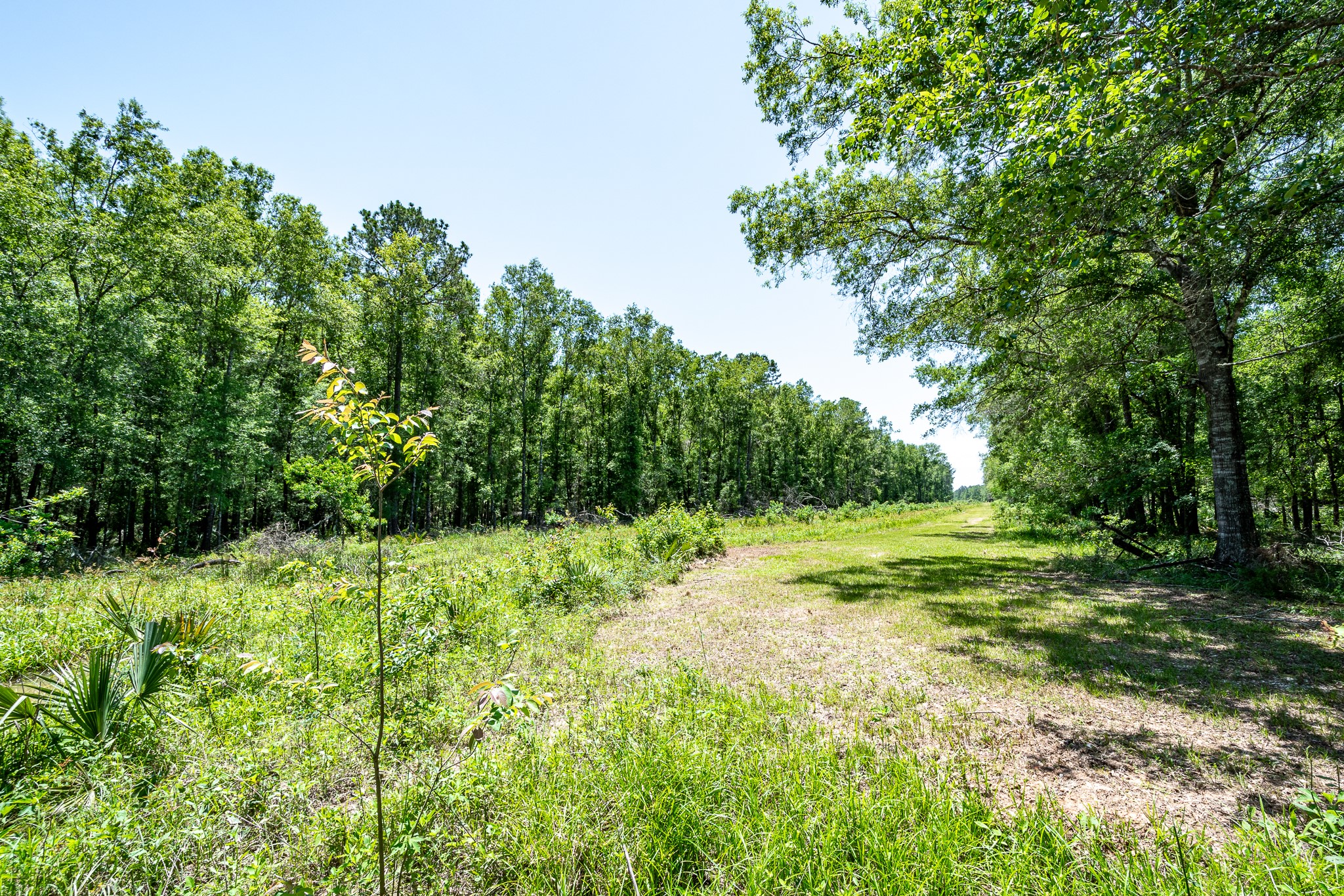 000 Cr 3774 Road Property Photo 4