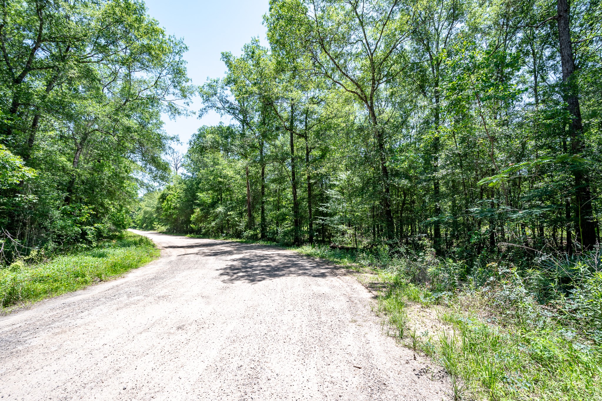 000 Cr 3774 Road Property Photo 5