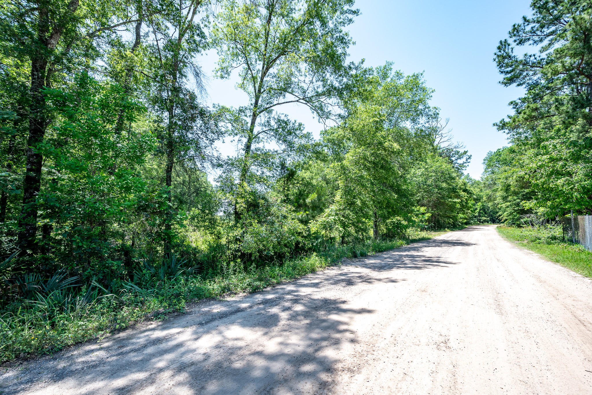 000 Cr 3774 Road Property Photo 6