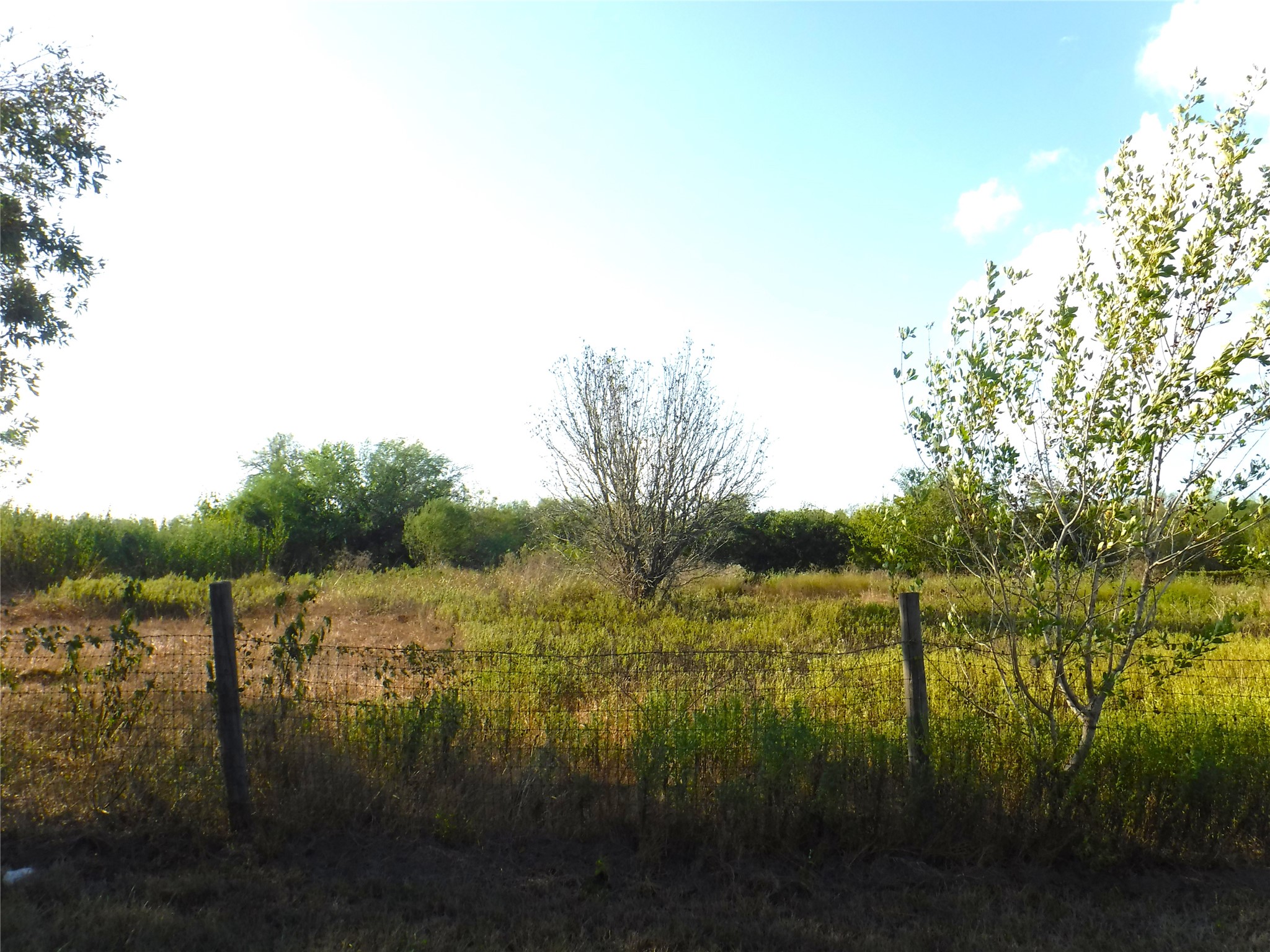 1142 Chestnut Lane Property Photo 3