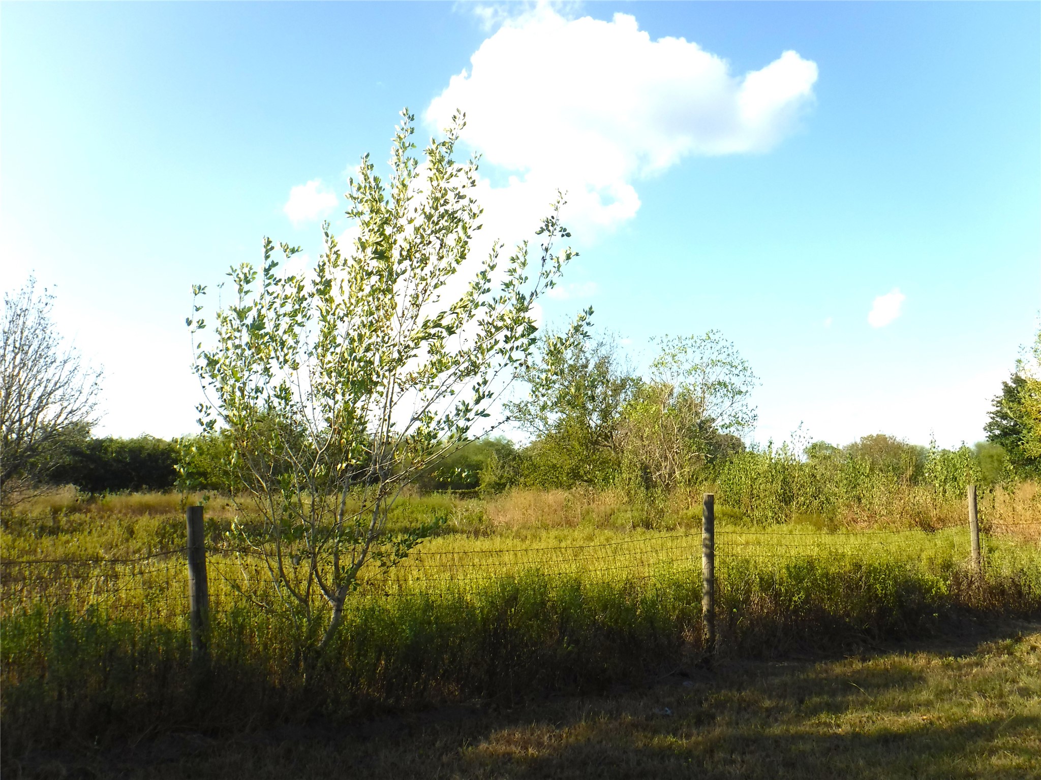 1142 Chestnut Lane Property Photo 4