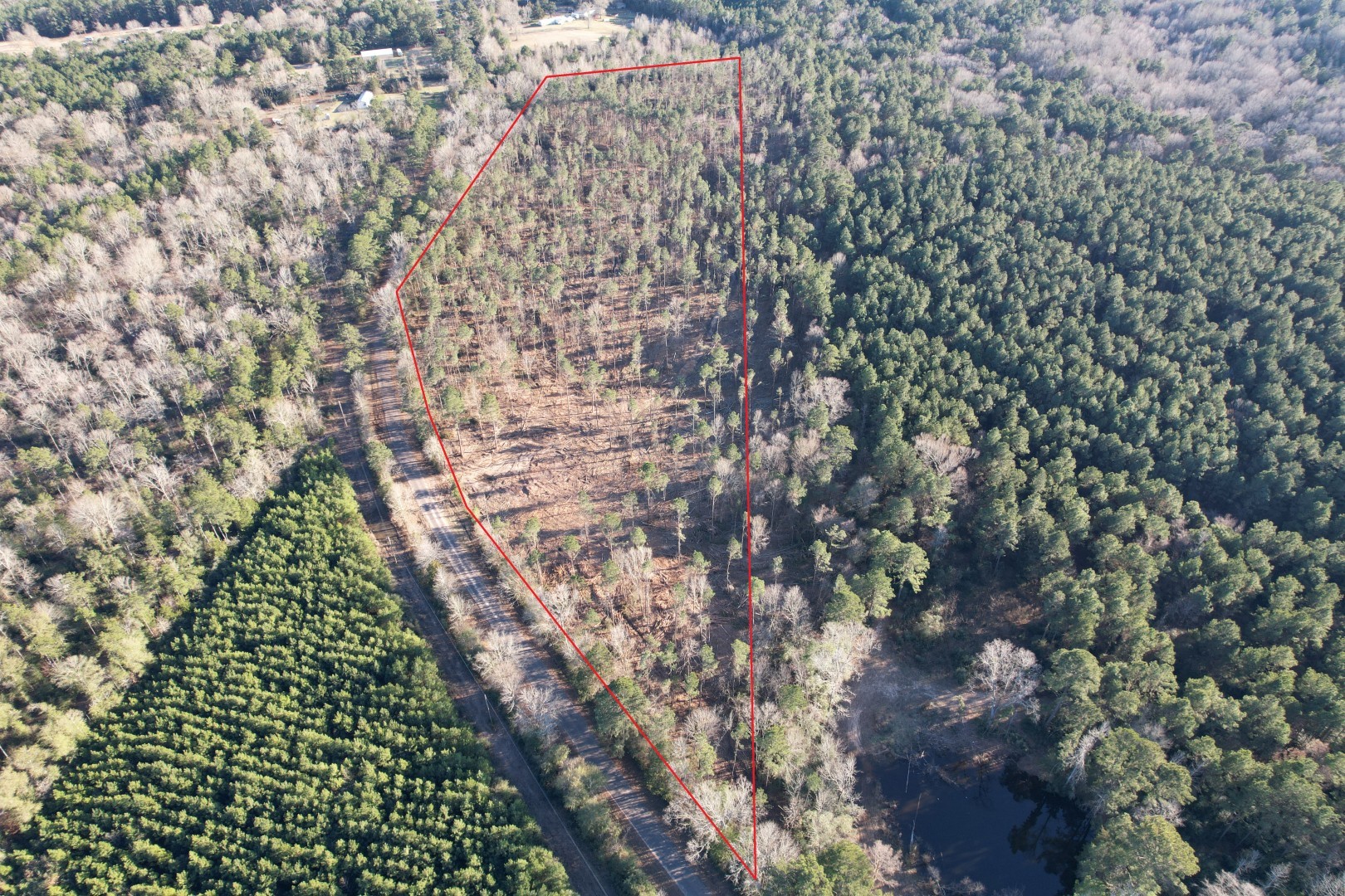 Tbd County Road 430 Property Photo