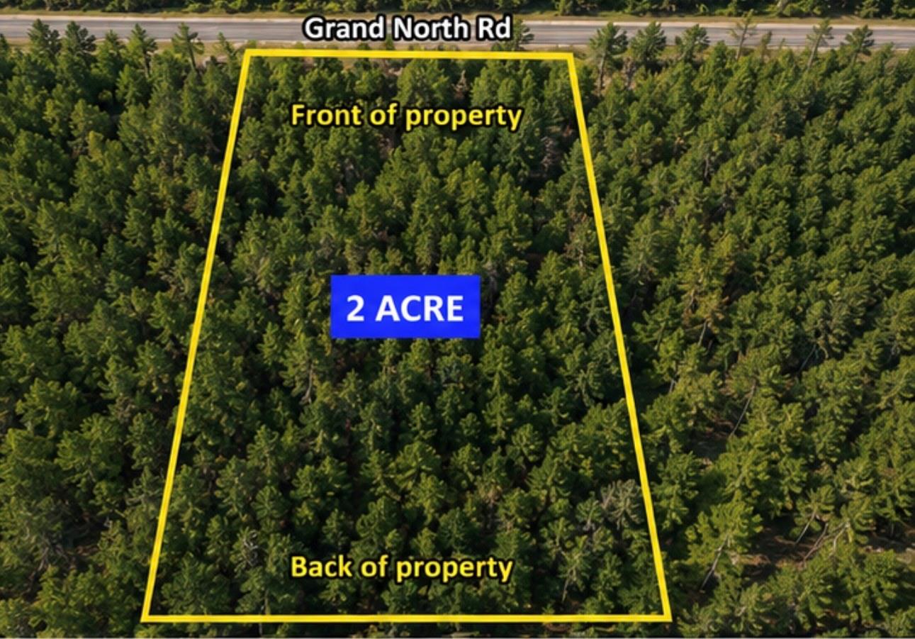 11818 Grand North Road, Willis TX 77378 Property Photo 1