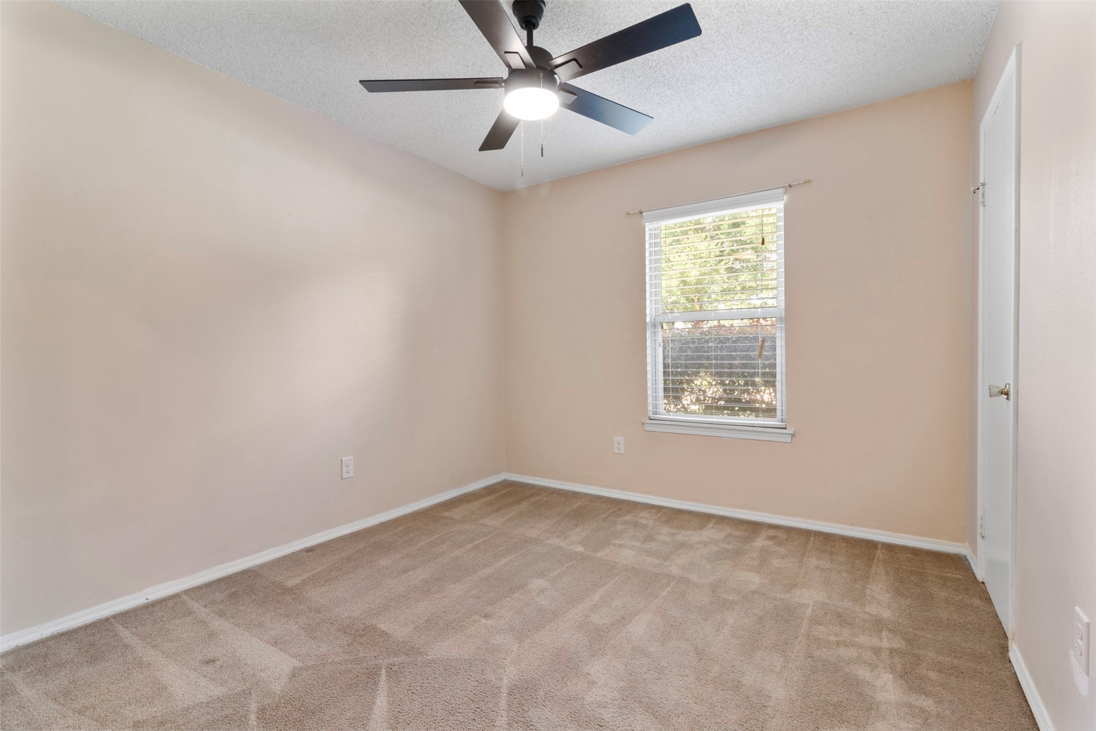 16319 Pitch Pine Drive Property Photo 14