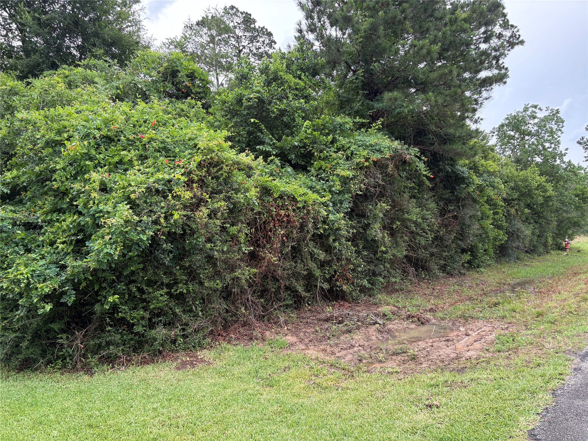 0 Moore Property Photo 1