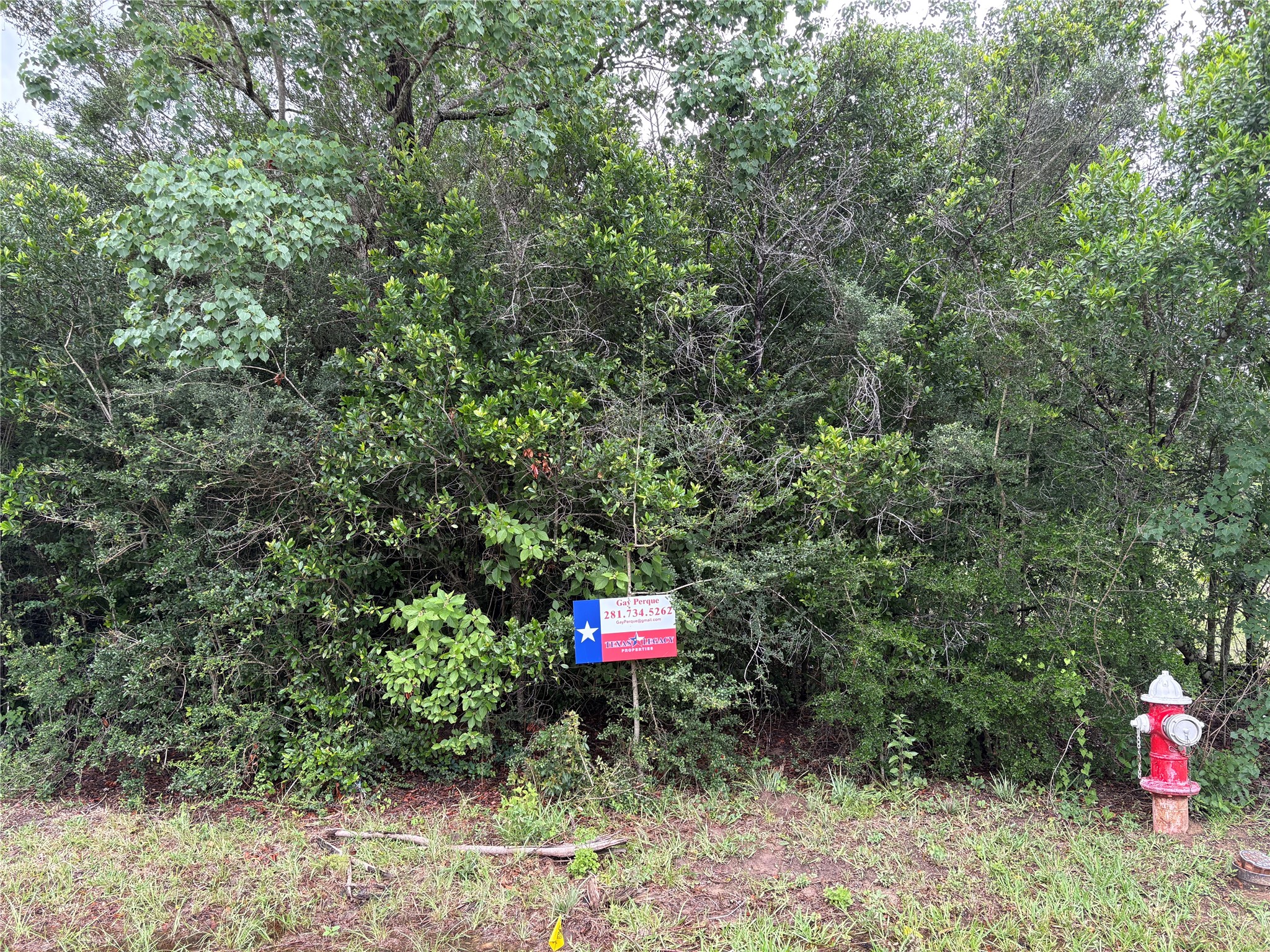 0 Moore Property Photo 2