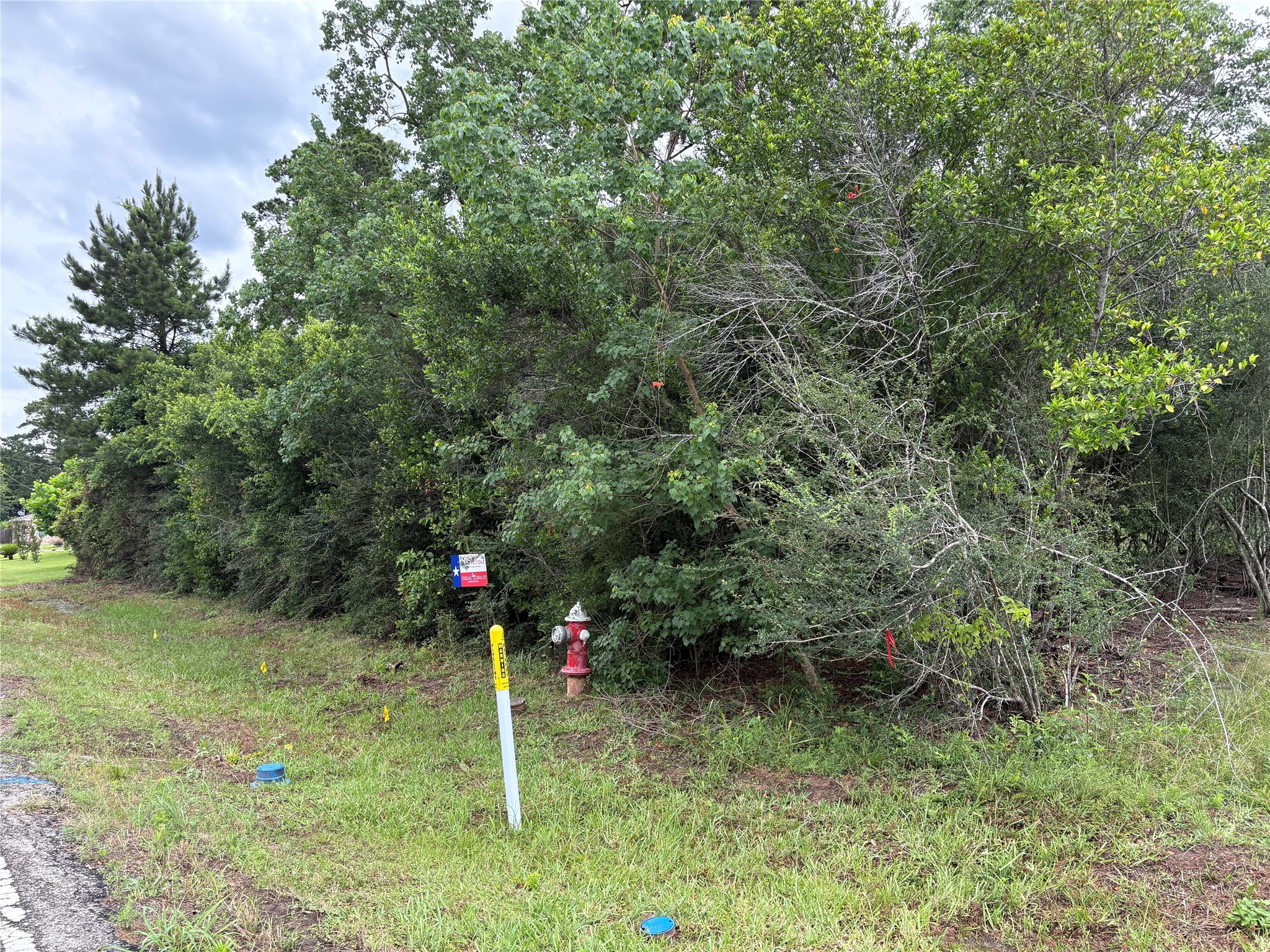 0 Moore Property Photo 3