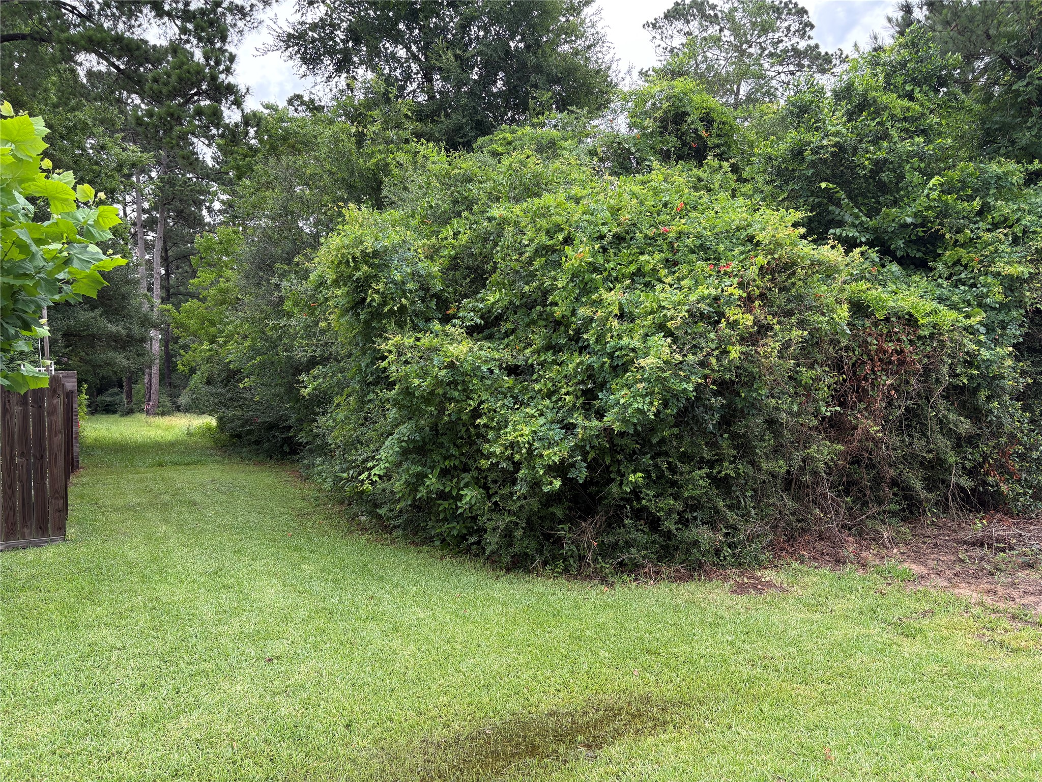 0 Moore Property Photo 4
