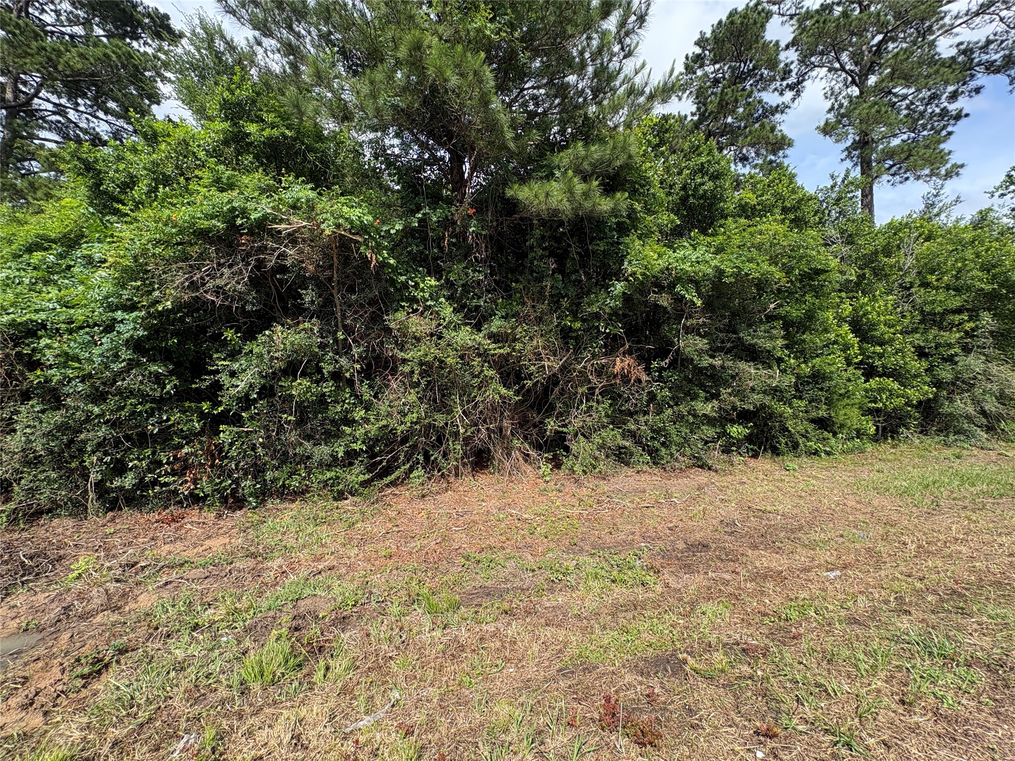 0 Moore Property Photo 7