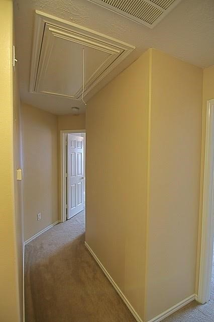12259 Noco Drive Property Photo 24