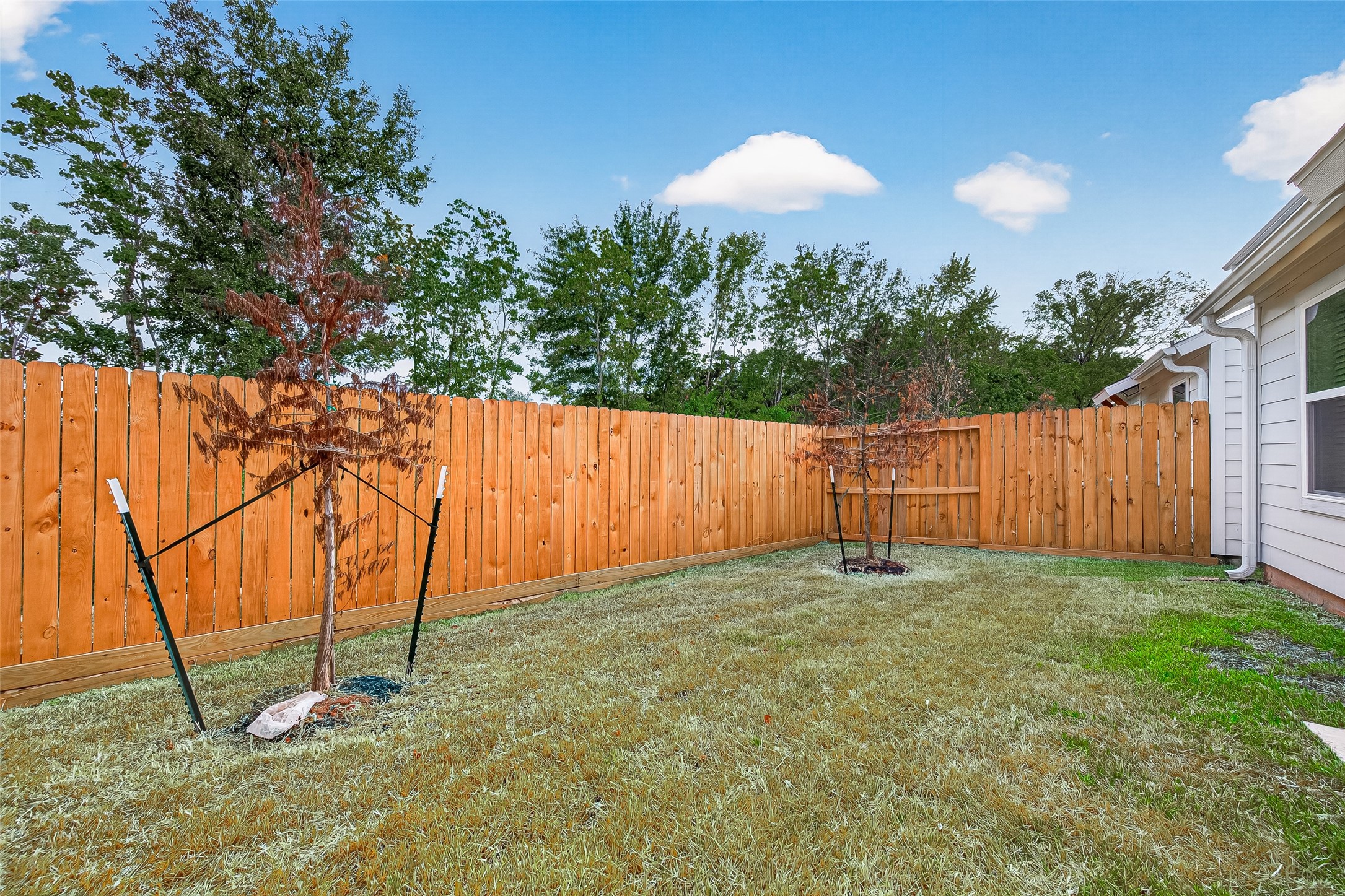 2714 Discovery Trails Court Property Photo 40