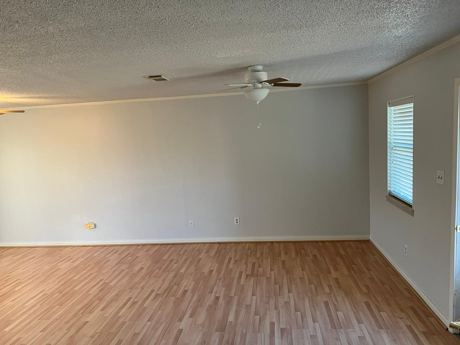 4318 E Fm 1462 Road Property Photo 6