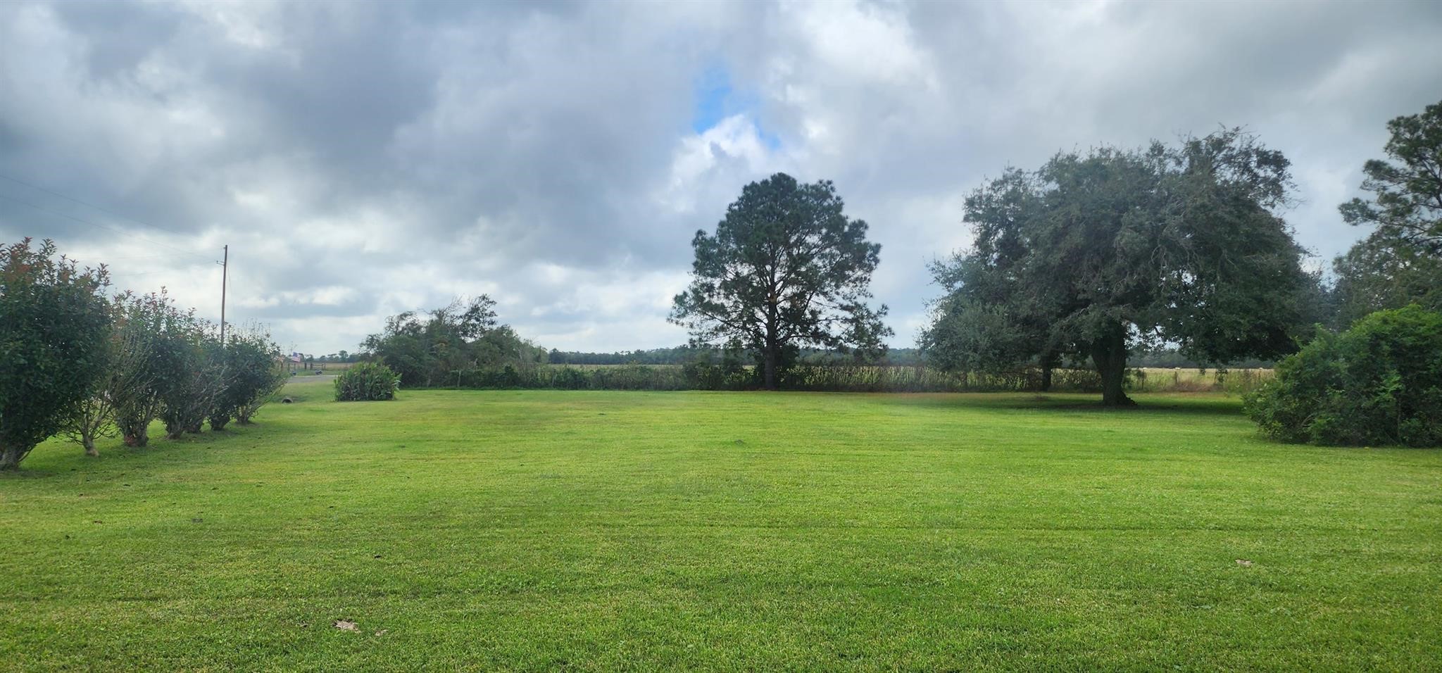 0 Jobe Wilson Road Property Photo 1