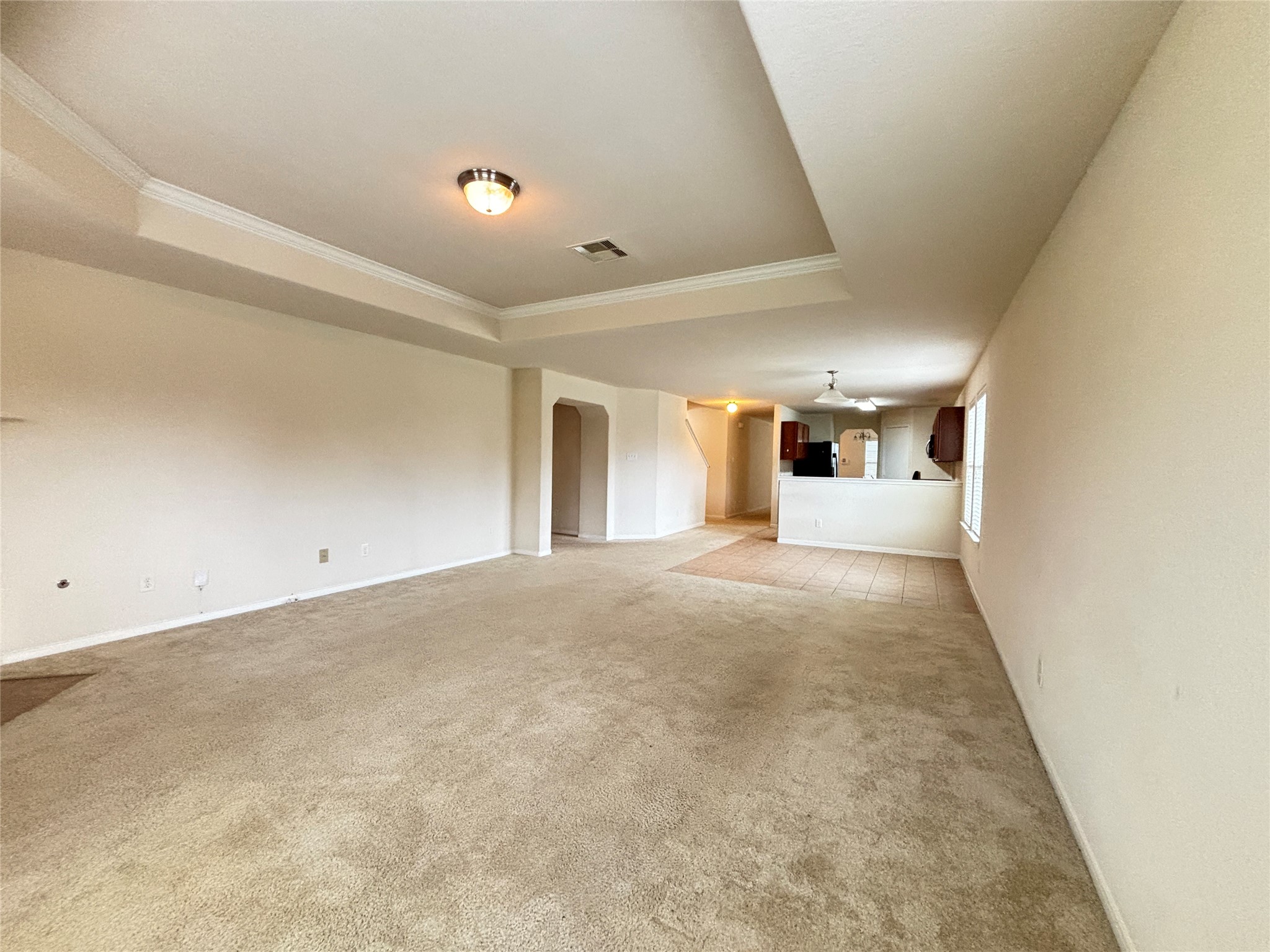 2803 Mustang Hill Lane Property Photo 8