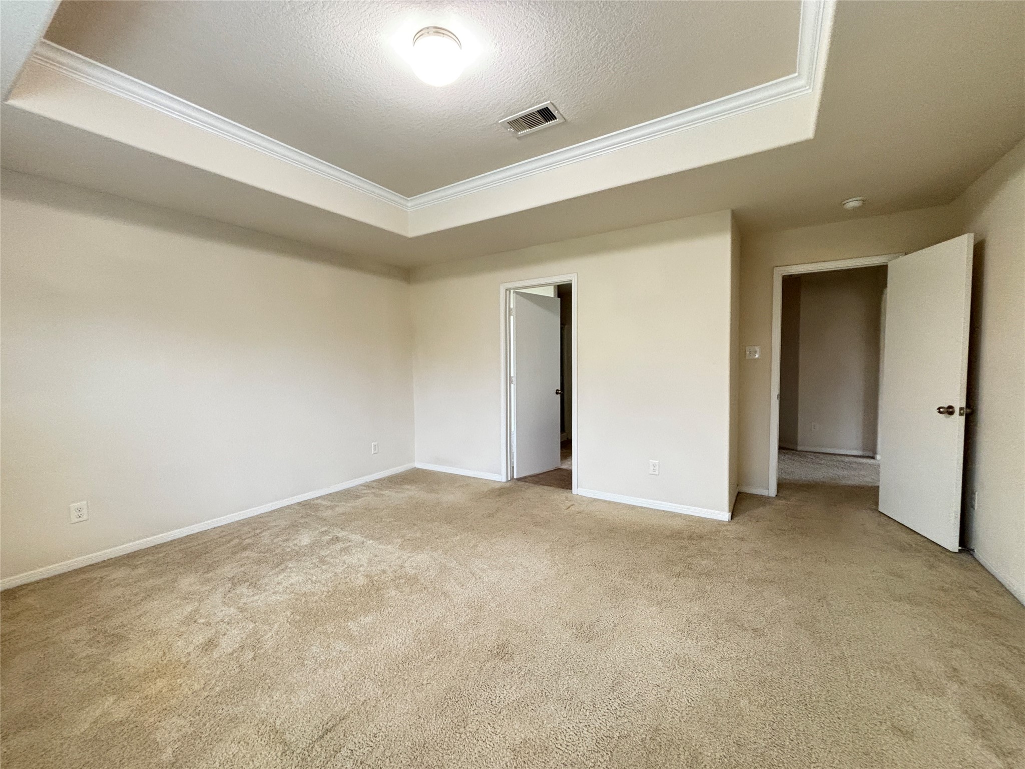2803 Mustang Hill Lane Property Photo 13