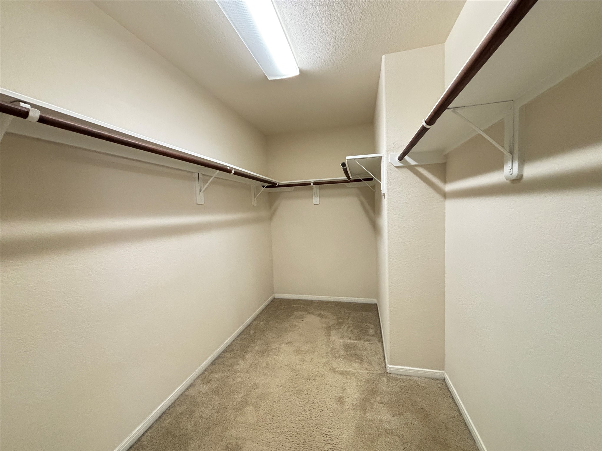 2803 Mustang Hill Lane Property Photo 16
