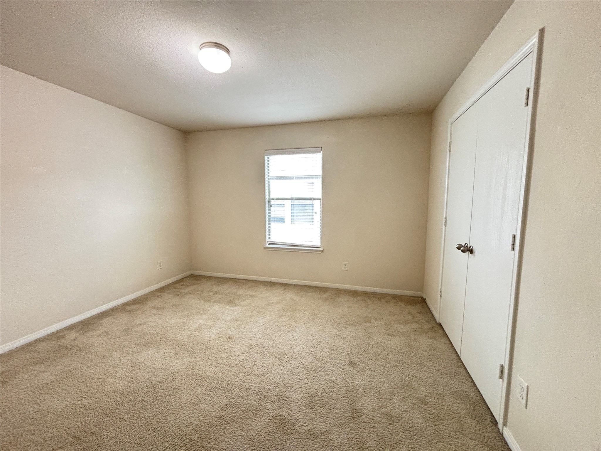 2803 Mustang Hill Lane Property Photo 19