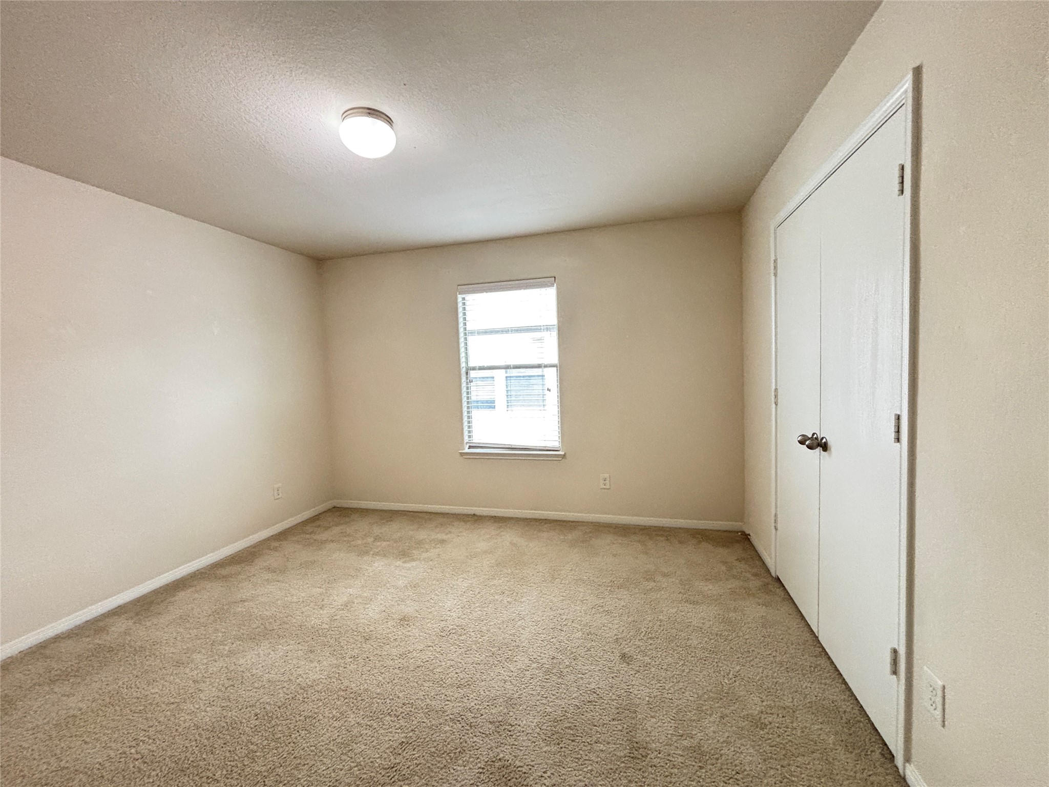 2803 Mustang Hill Lane Property Photo 20