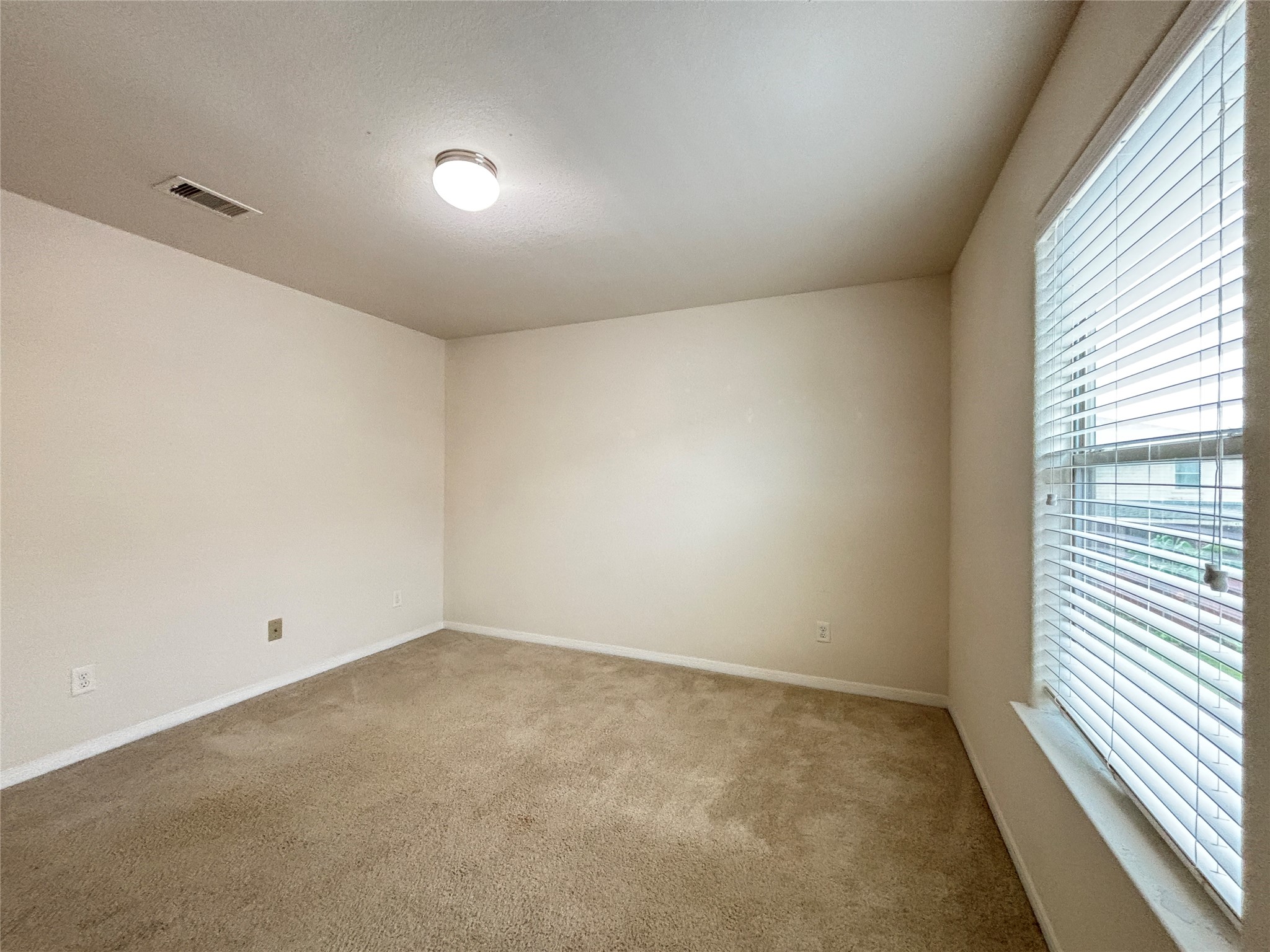 2803 Mustang Hill Lane Property Photo 21