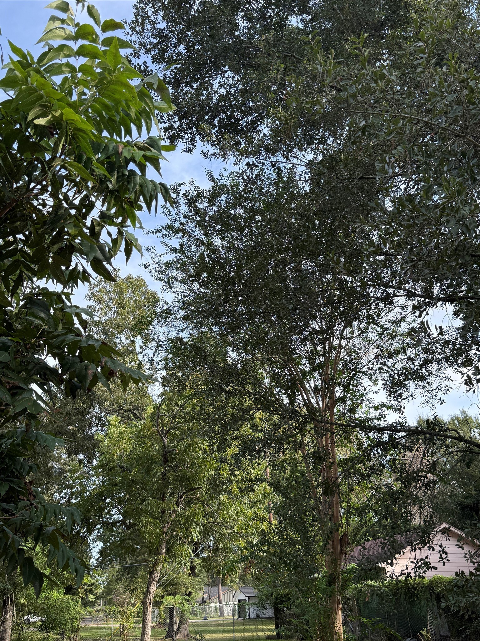 0. Cherry Valley Drive Property Photo 2
